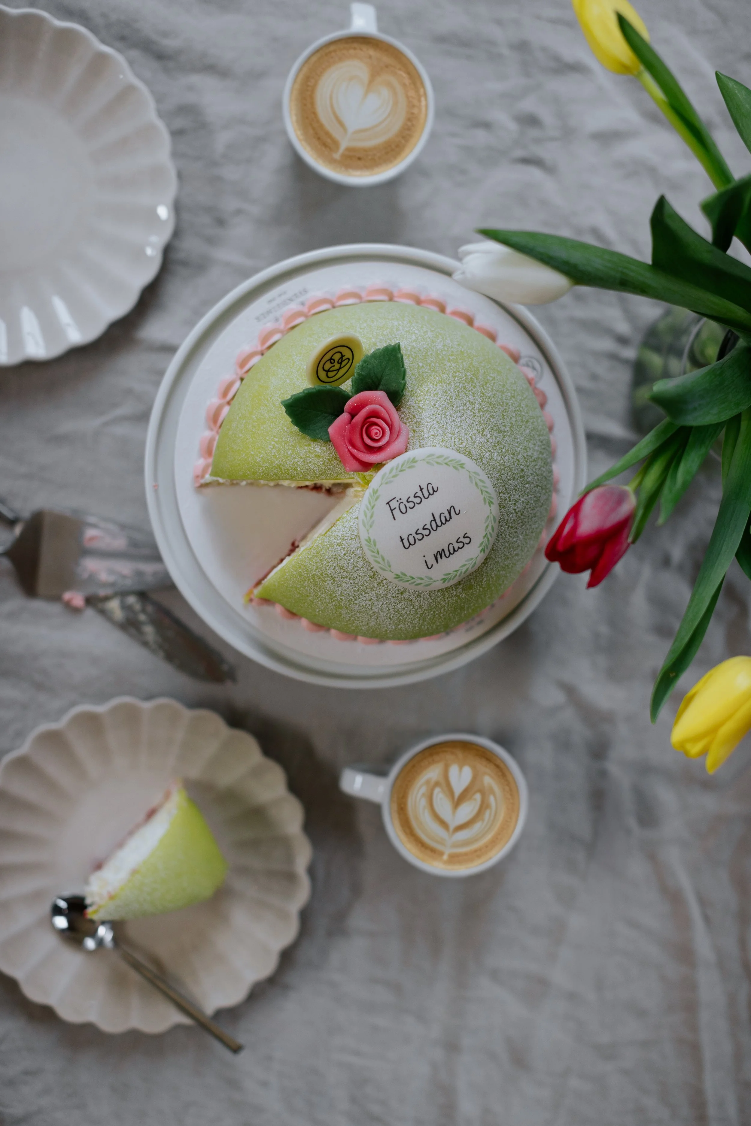 CS massipantåta-31.jpg