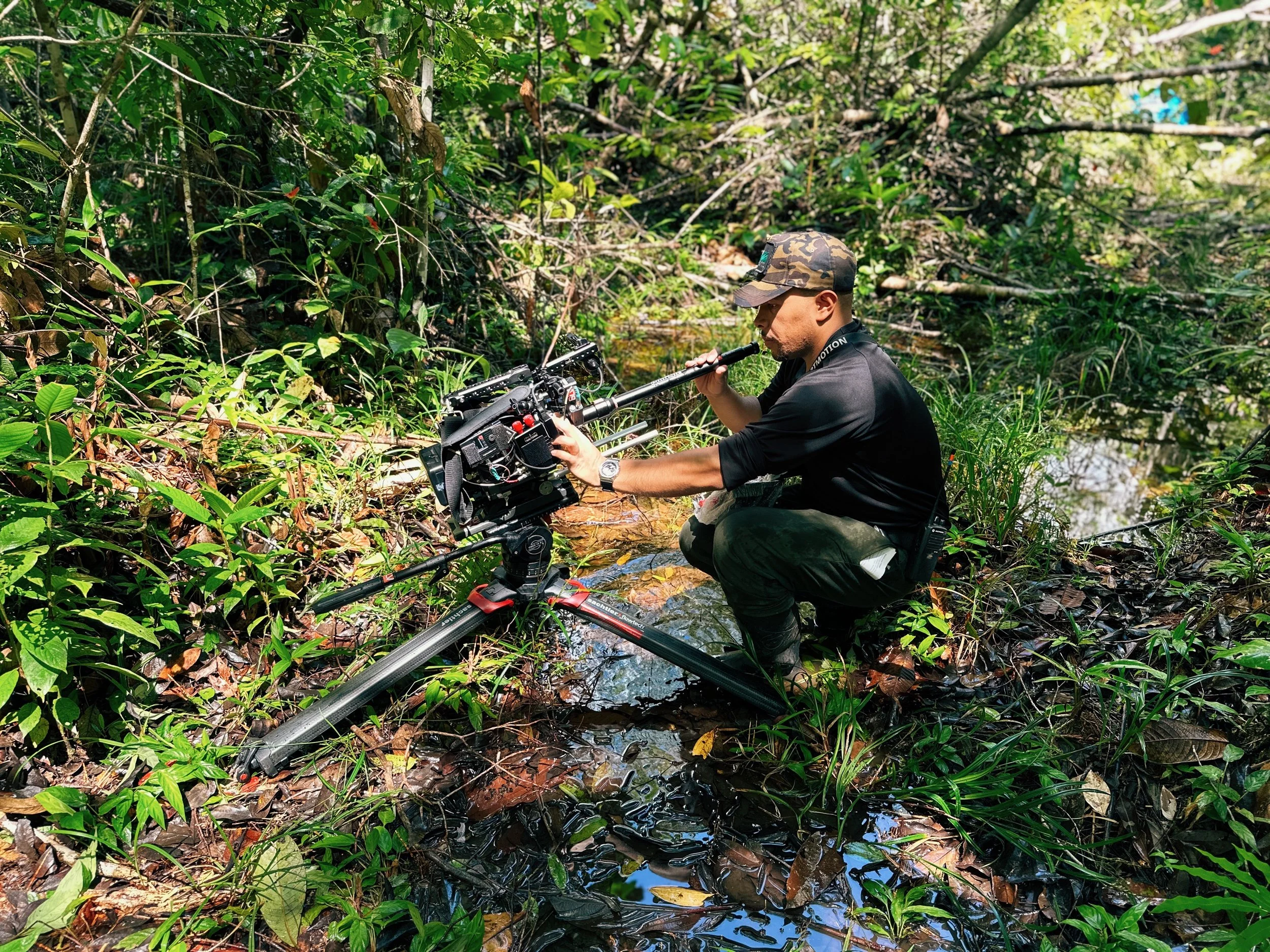 A person crouching in a dense jungle or wetland, operating a professional camera mounted on a tripod, surrounded by green plants and a small water body.