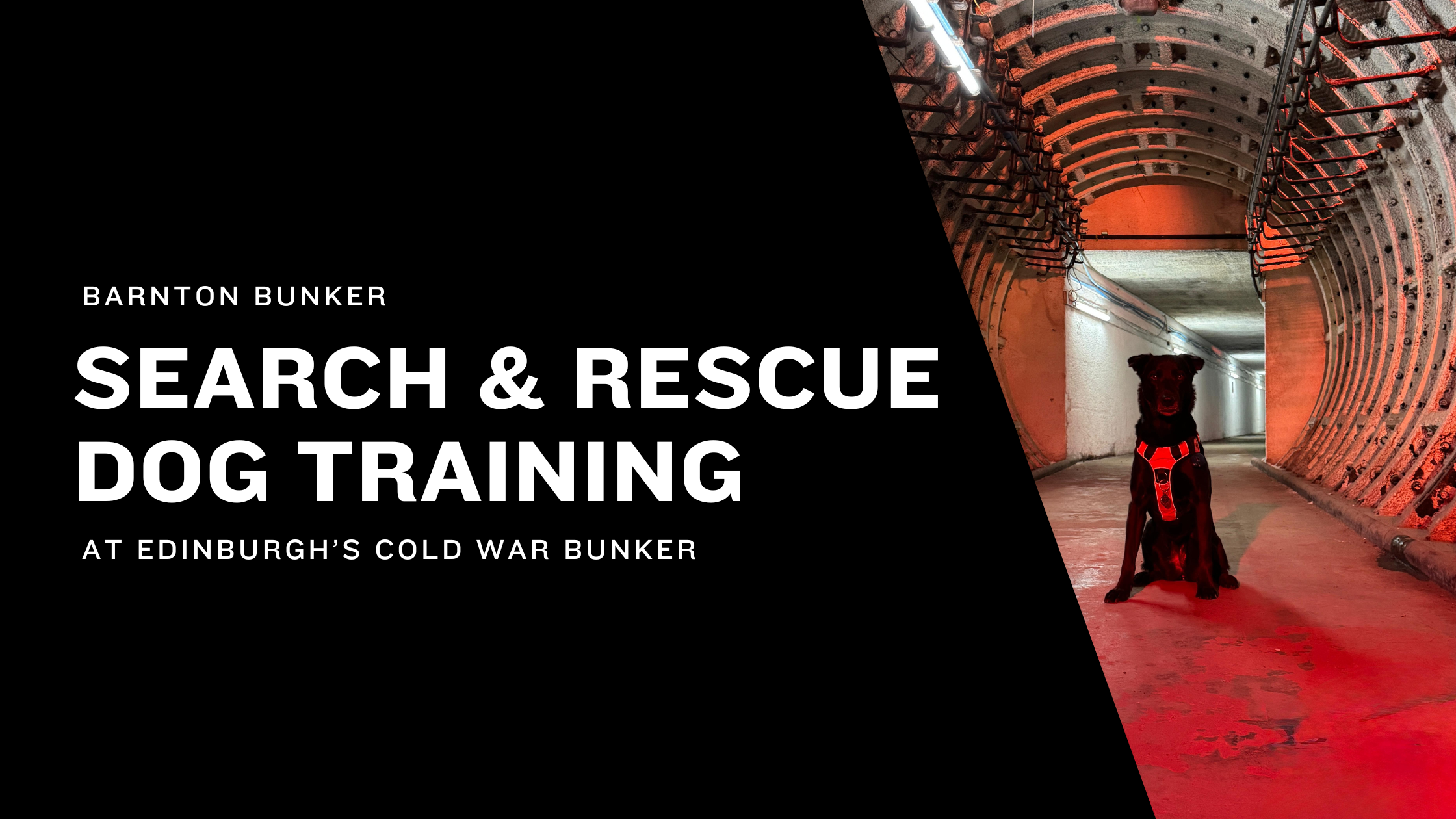 When a Cold War Nuclear Bunker Becomes a Training Ground for a Search &amp; Rescue Dog