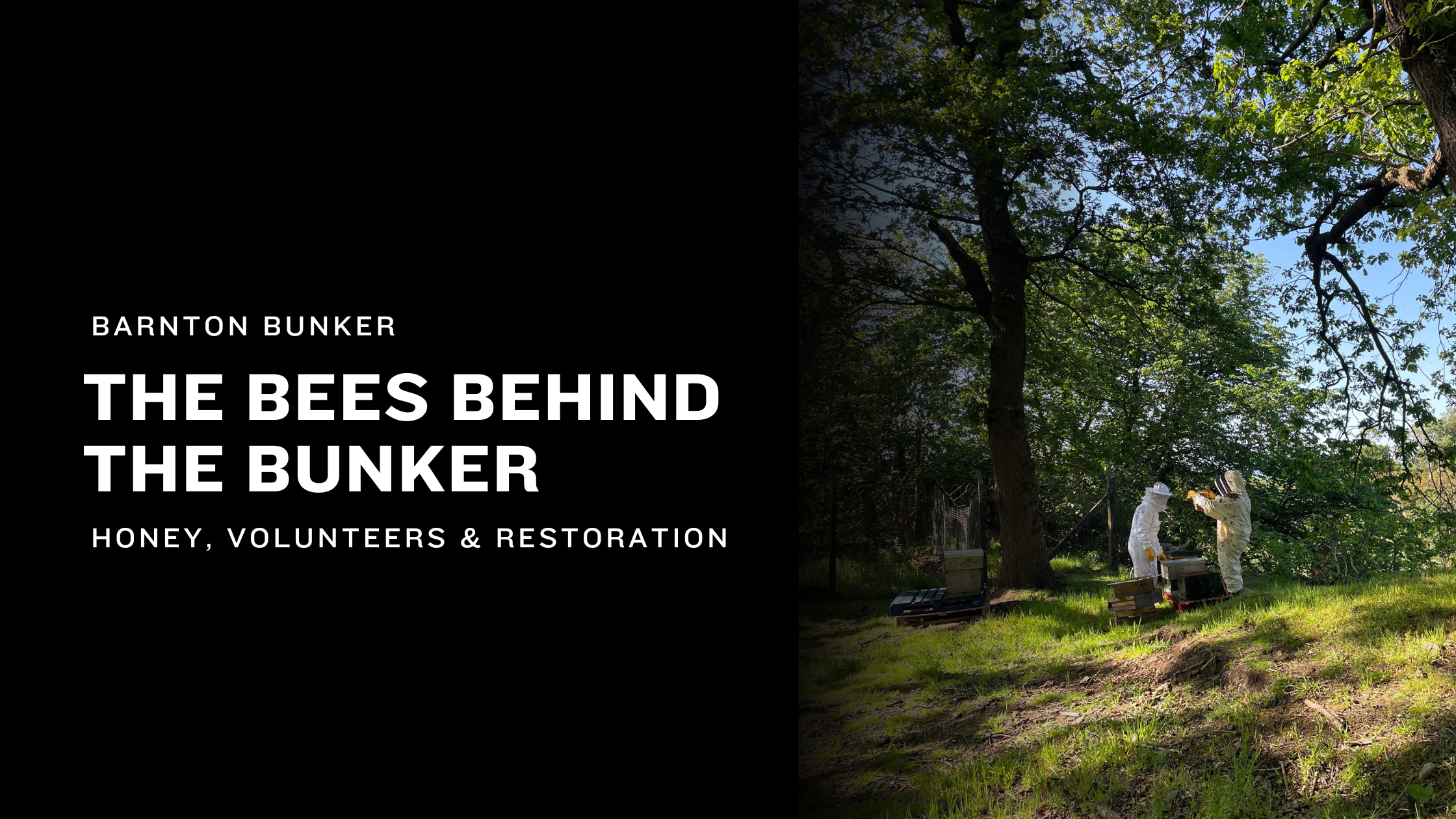 How Bees Are Helping Barnton Bunker Grow