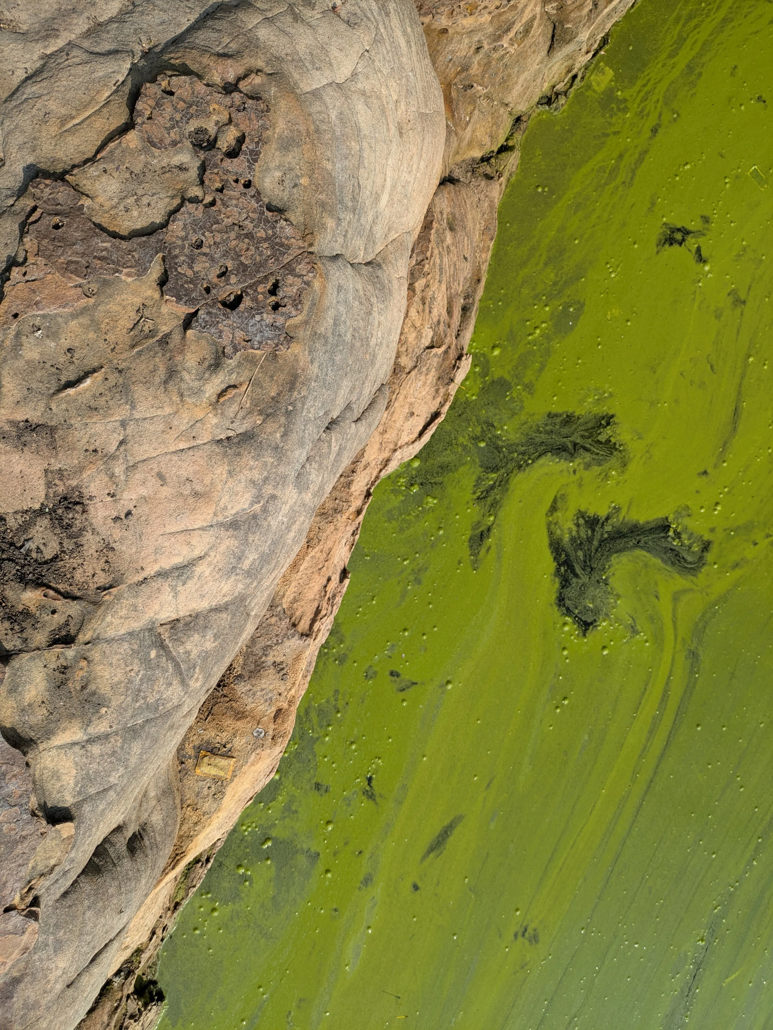 Contrast study: Stone Water