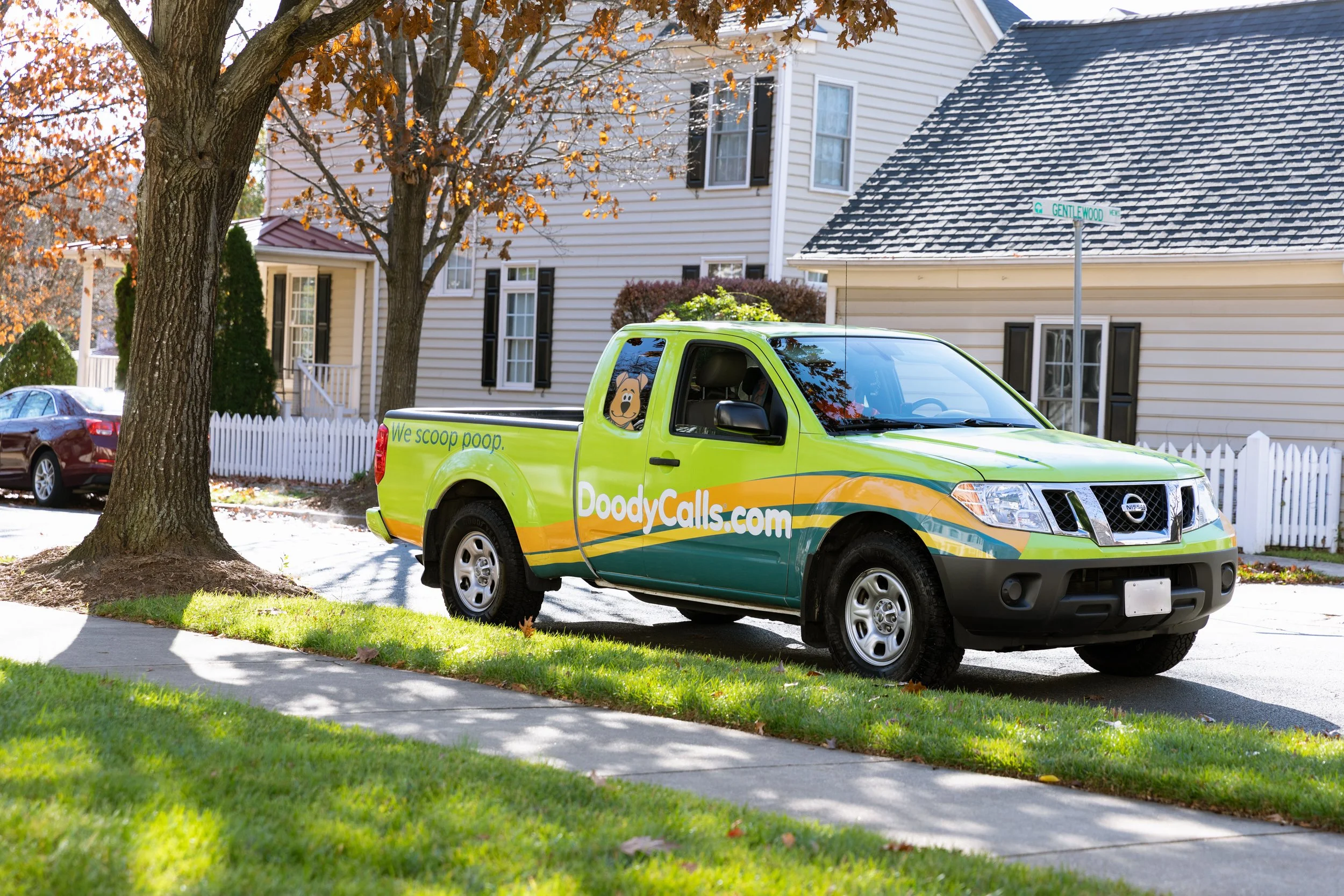 Should I pick up my dog poop?