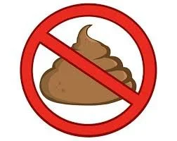 Can Dog Poop Be Composted?