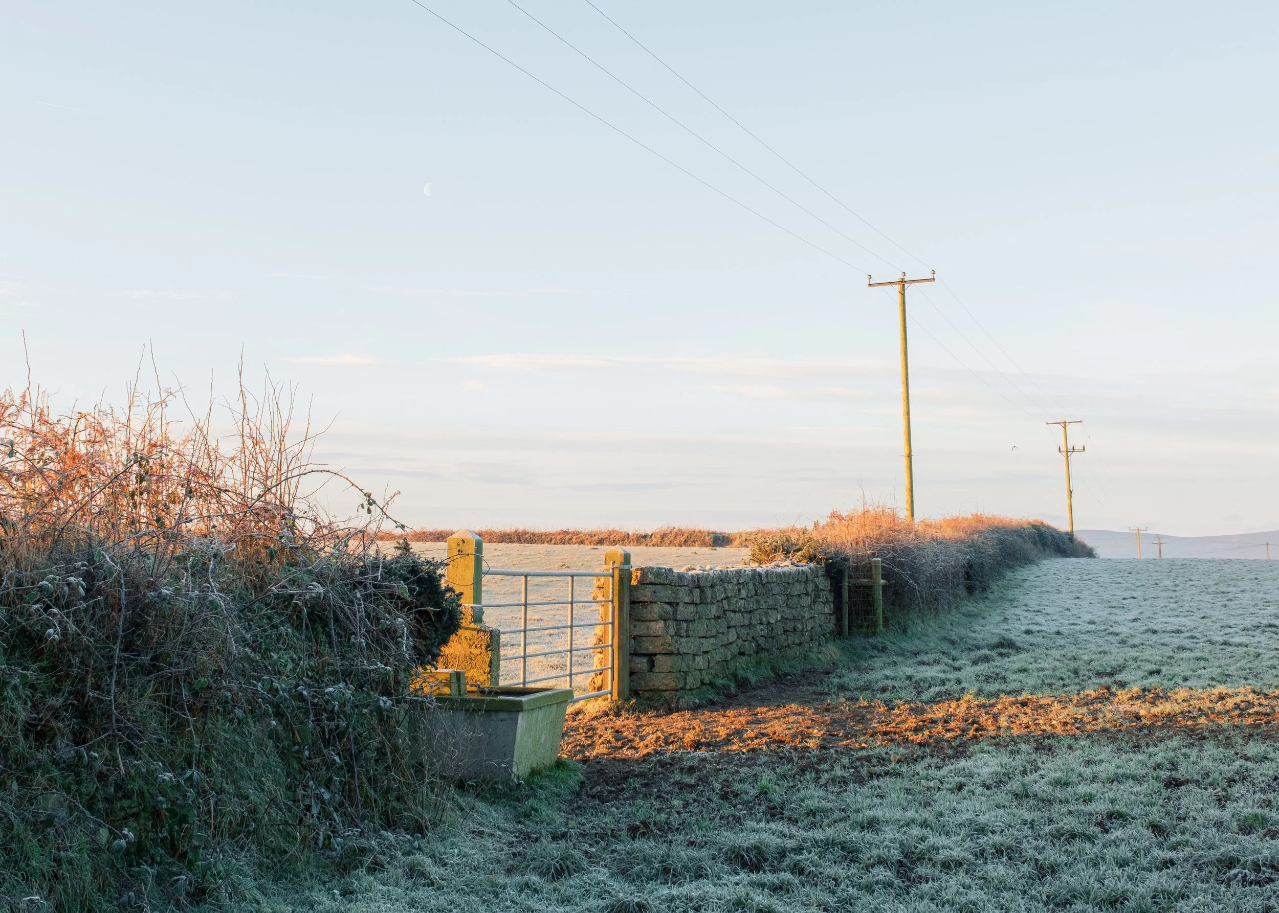 Frosty January Morning - Fujifilm X-H2 XF16-80mm-10.jpg