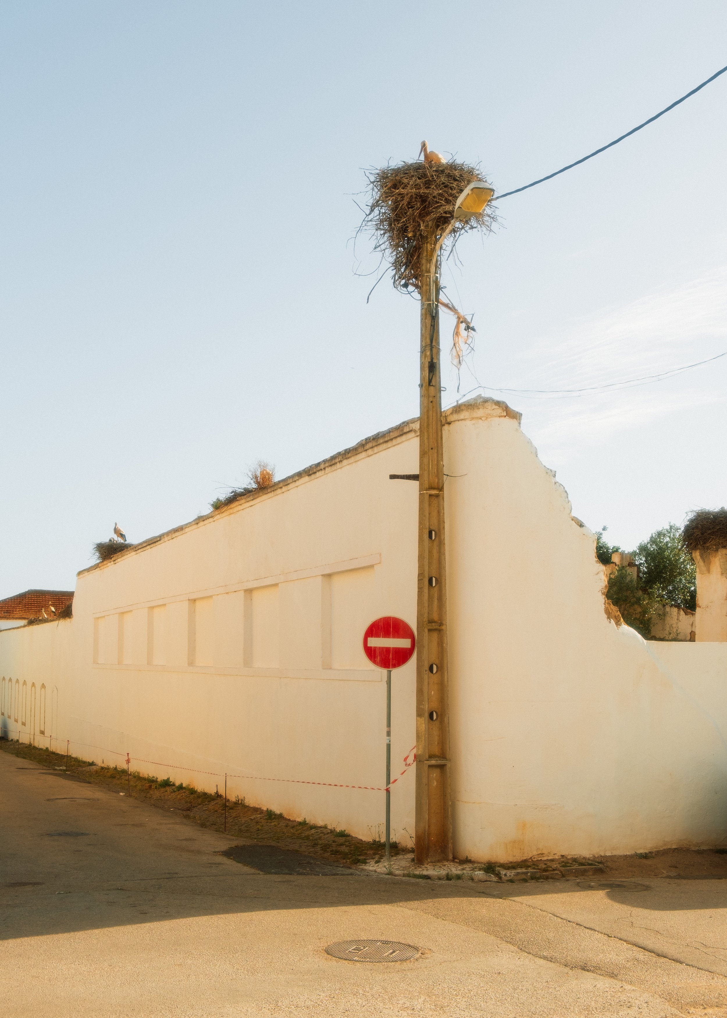 Storks and red sign.JPG