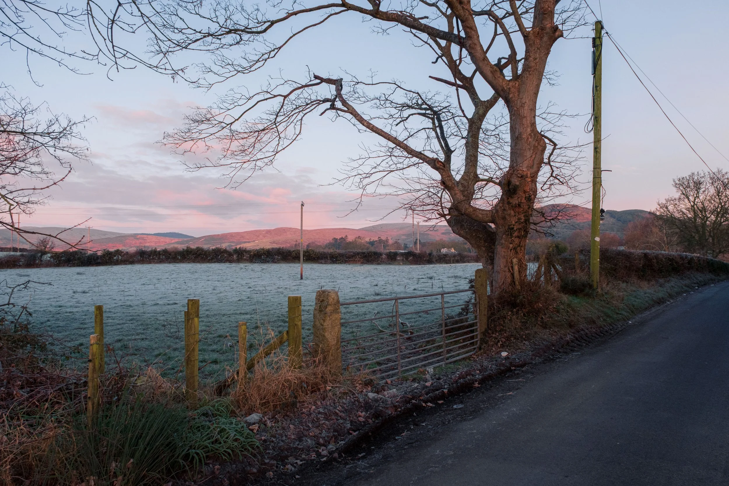 Frosty January Morning - Fujifilm X-H2 XF16-80mm-6.jpg