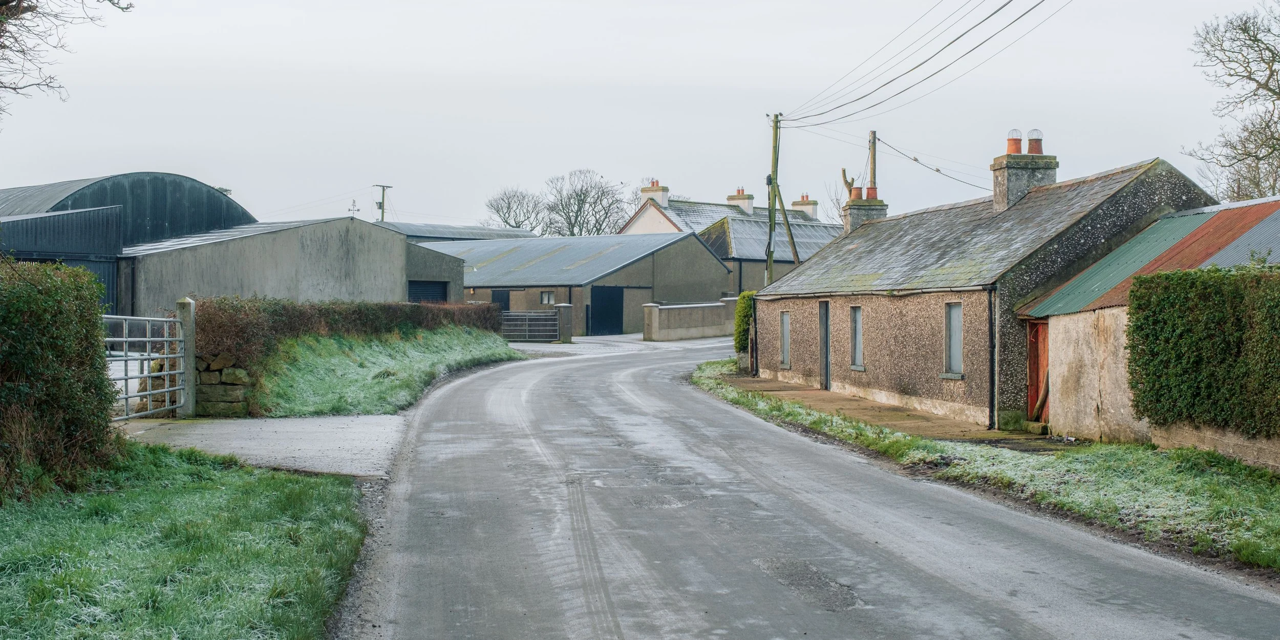 Frosty January Morning - Fujifilm X-H2 XF16-80mm-20.jpg