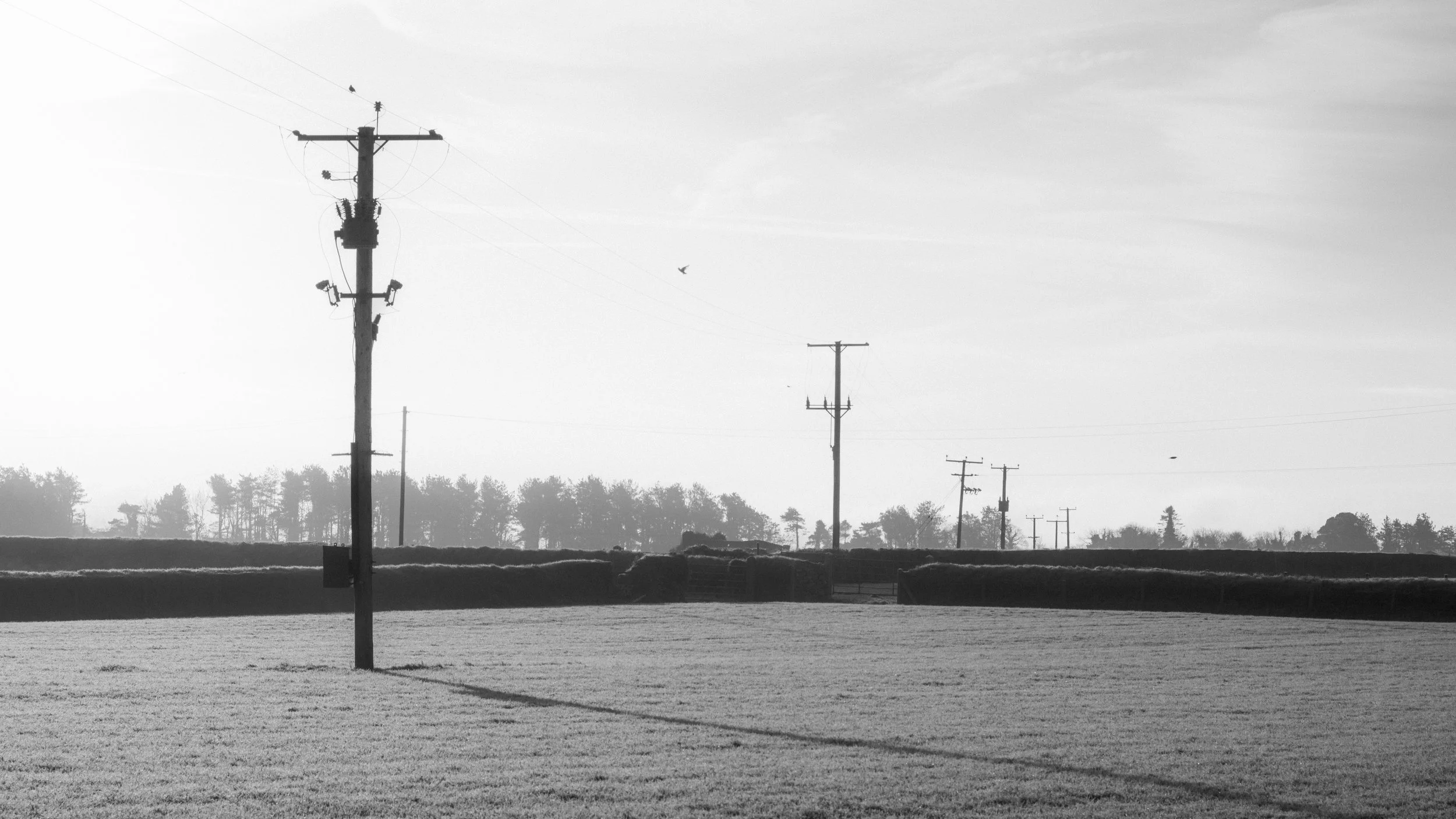 Frosty January Morning - Fujifilm X-H2 XF16-80mm-18.jpg