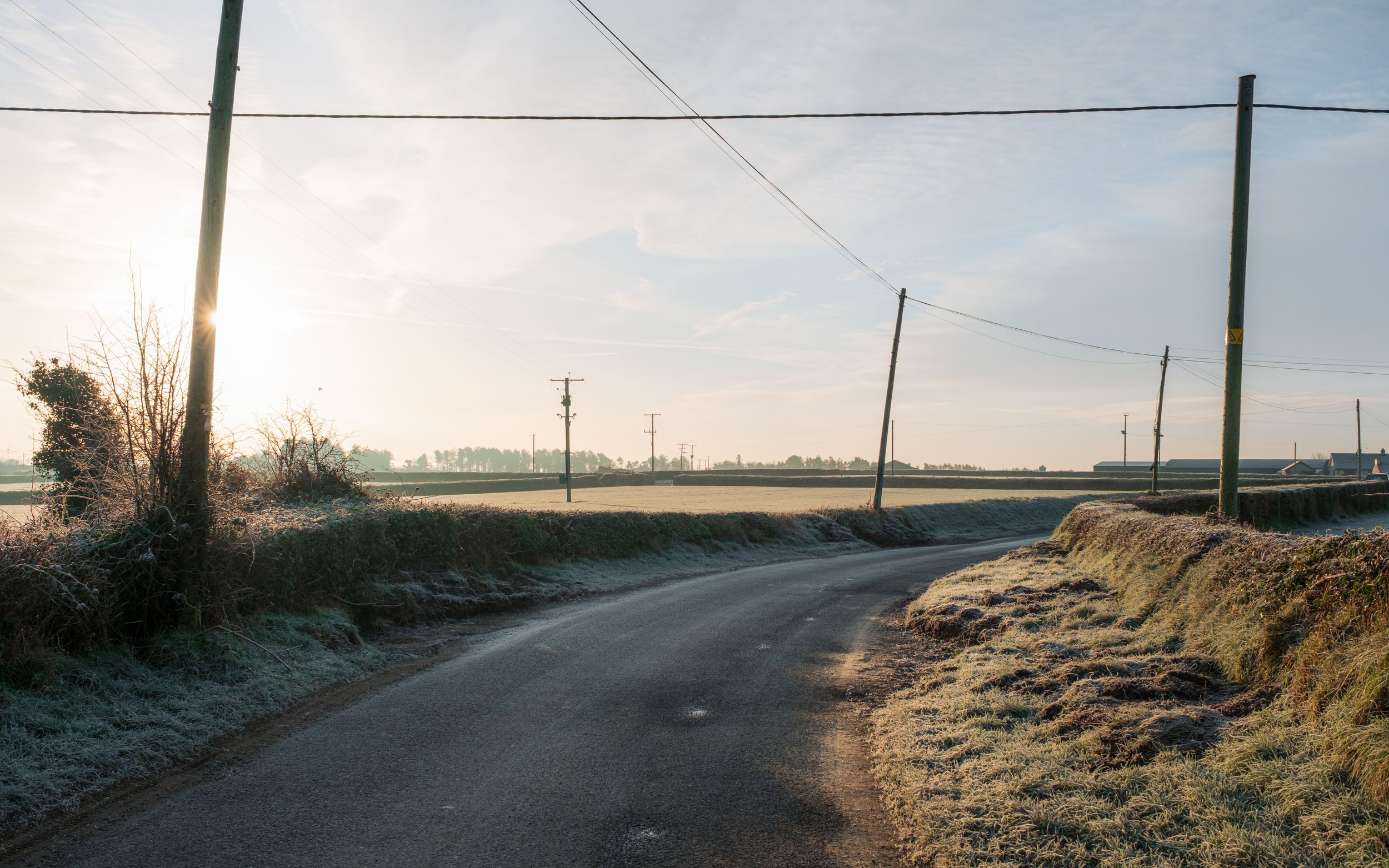 Frosty January Morning - Fujifilm X-H2 XF16-80mm-16.jpg