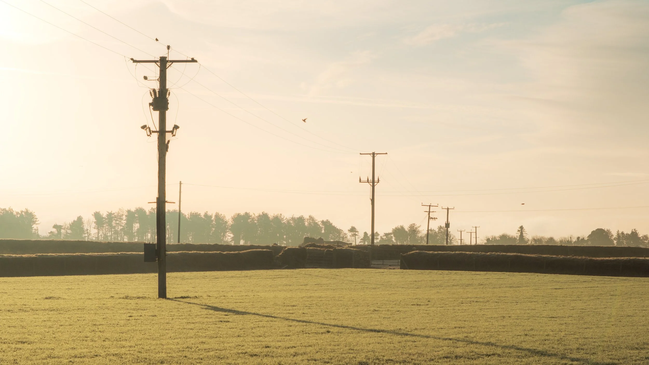 Frosty January Morning - Fujifilm X-H2 XF16-80mm-17.jpg