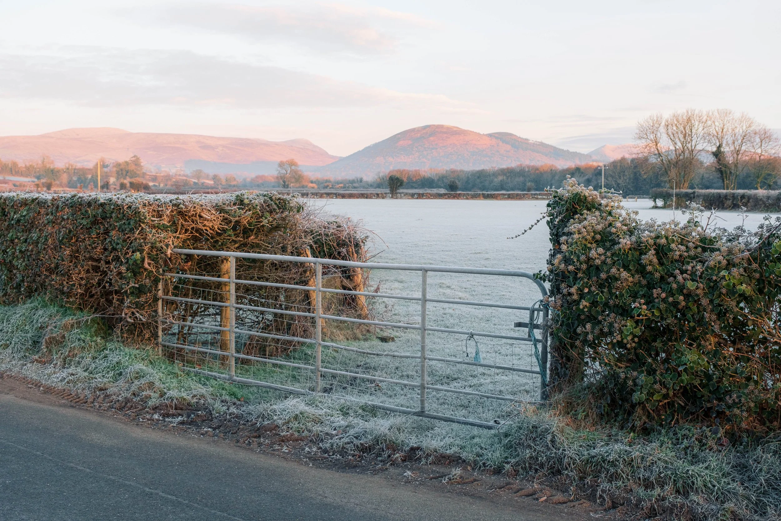 Frosty January Morning - Fujifilm X-H2 XF16-80mm-9.jpg