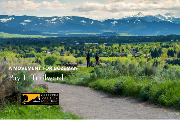 Pay It Trailward with GVLT