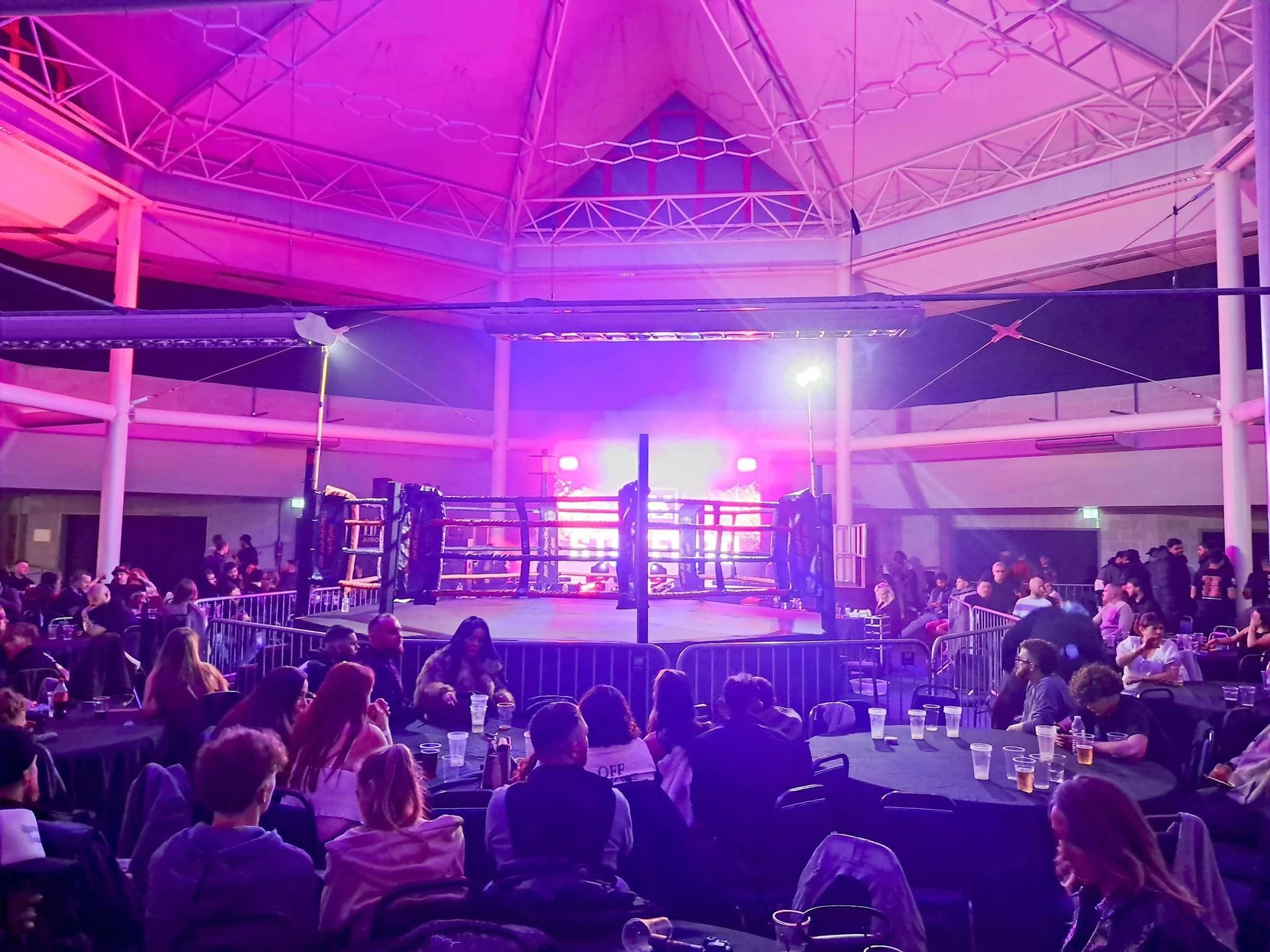 An indoor mixed martial arts or boxing event taking place inside a large arena with a ring in the center, surrounded by tables and people seated, with colorful purple and pink lighting illuminating the space.