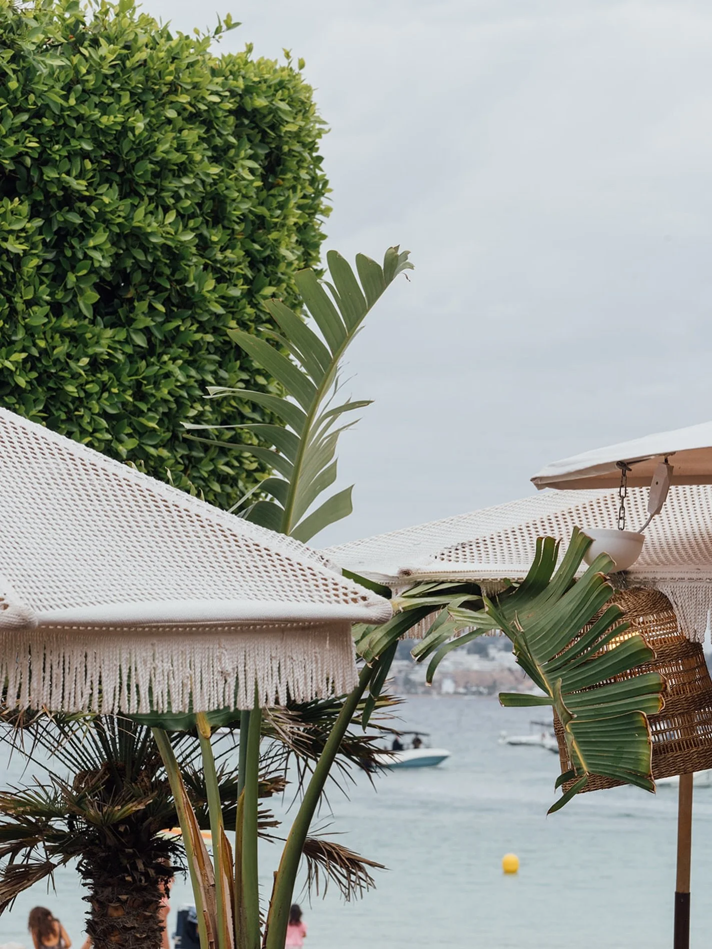 Warm breezes, soft waves, and long sunny days at Calvia Beach House. Season 2026 is on the horizon.☀️🌴🌊
&mdash;&mdash;&mdash;&mdash;&mdash;&mdash;&mdash;&mdash;&mdash;&mdash;&mdash;&mdash;&mdash;&mdash;&mdash;&mdash;&mdash;&mdash;&mdash;&mdash;&mda