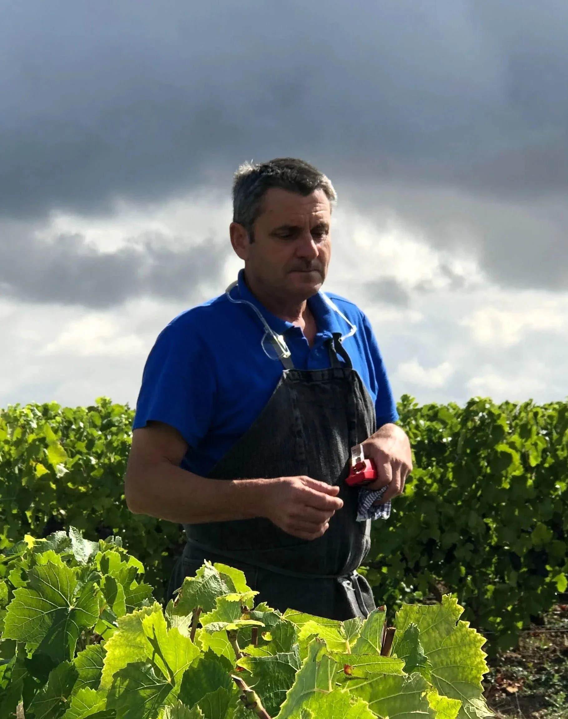 Benoît Lahaye | LITTLEWINE | The knowledge platform