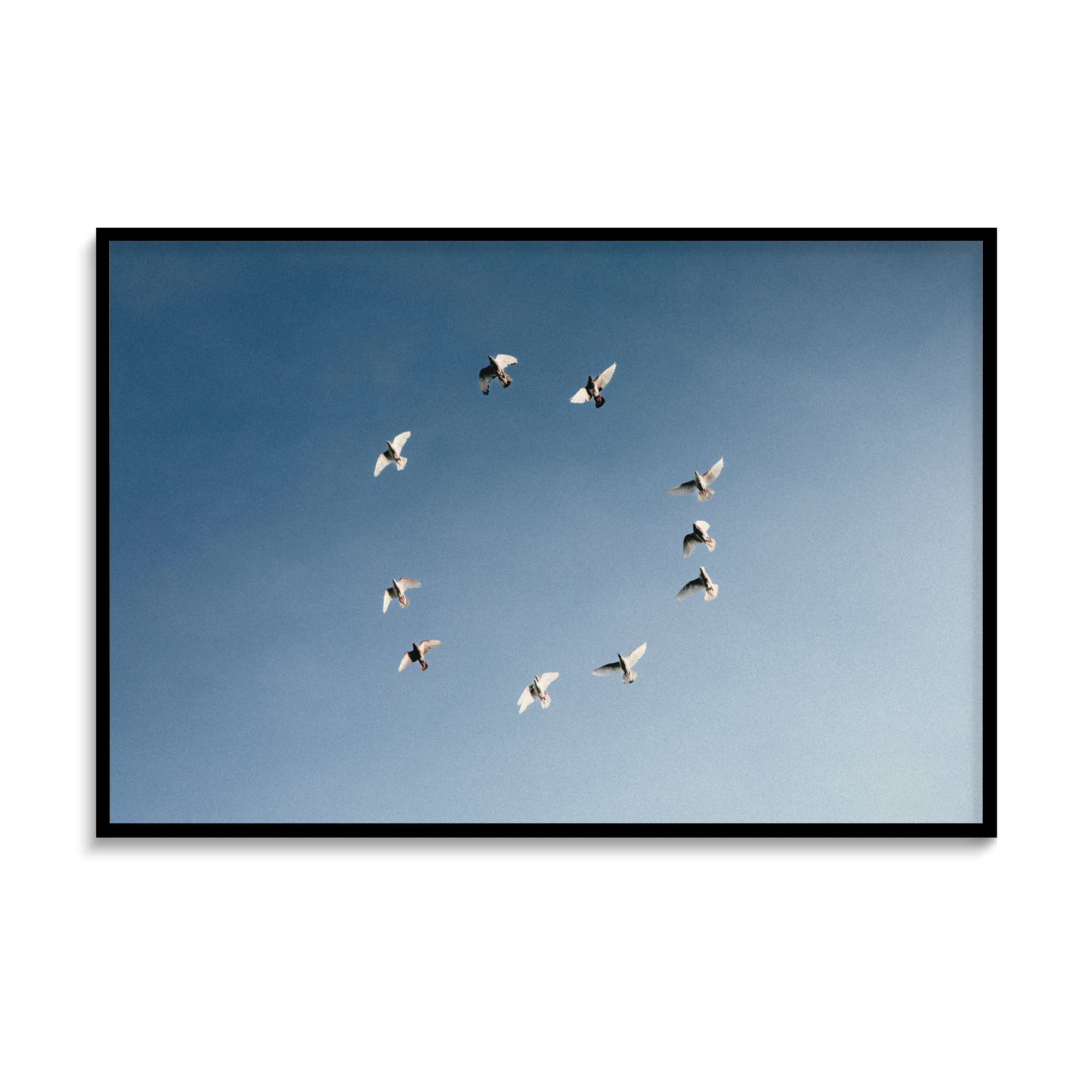 OwenTozer_PeaceDoves_framed_print.png