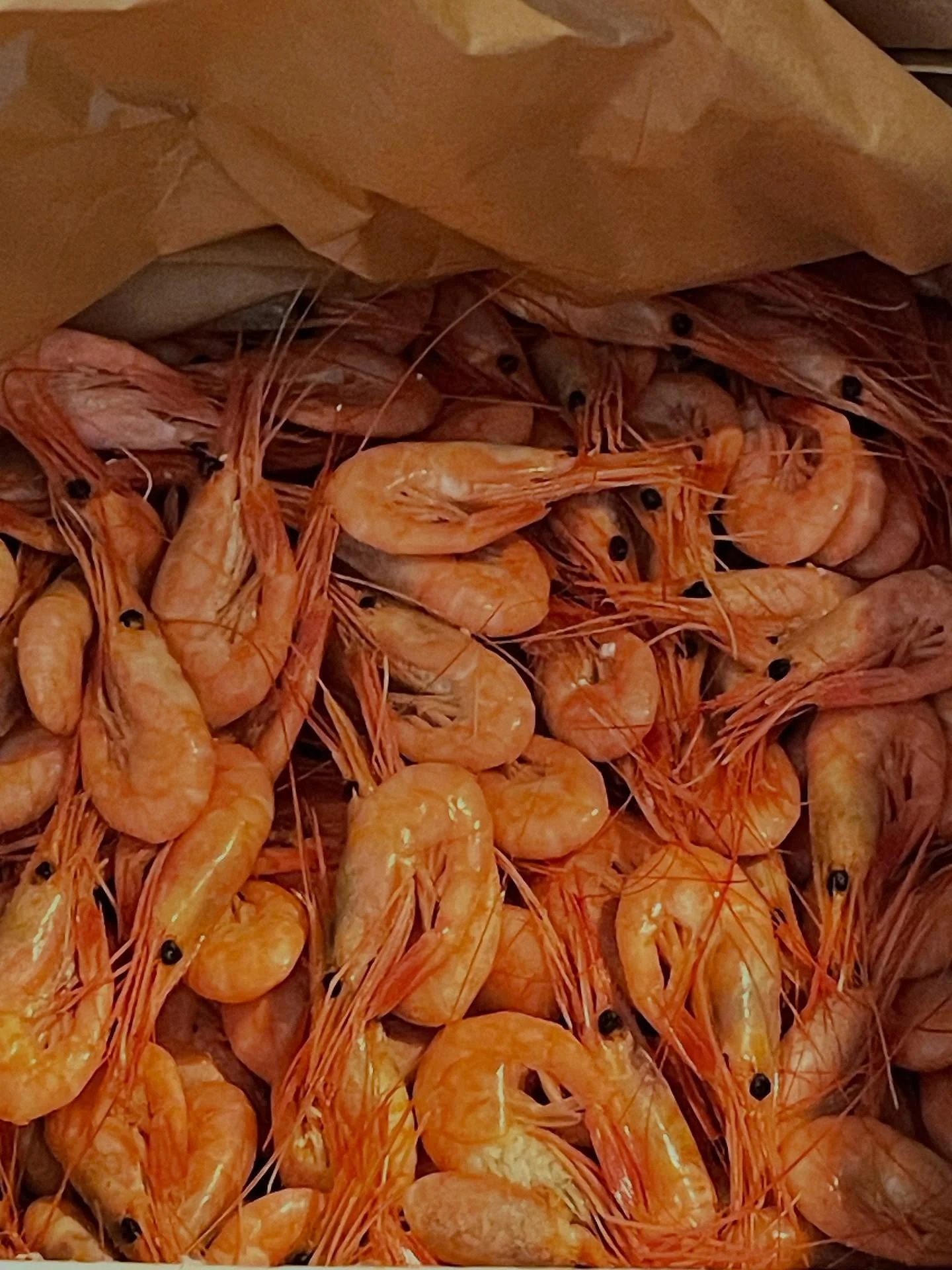 &Auml;n finns det lediga bord till denna skaldjurs helg!
Missa inte detta ~ fantastiska skaldjur med V&auml;sterbotten  paj &amp; foccacia och mycket annat.
Olika sorters bubbel finns det att v&auml;lja p&aring; 🥂🍾🦀🦐🍤

Boka p&aring; www.svanshal