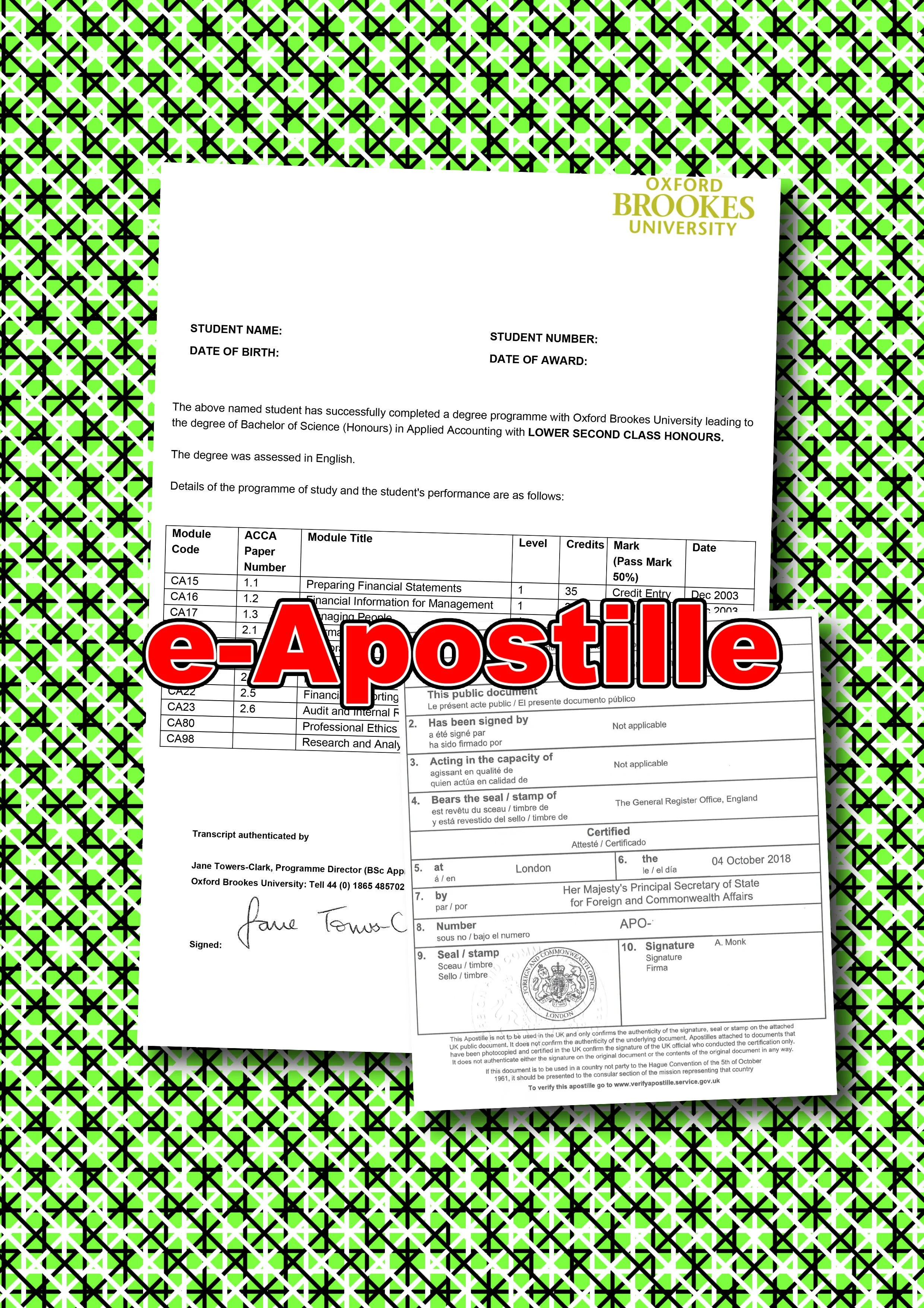 Degree Transcript & e-Apostille.jpg