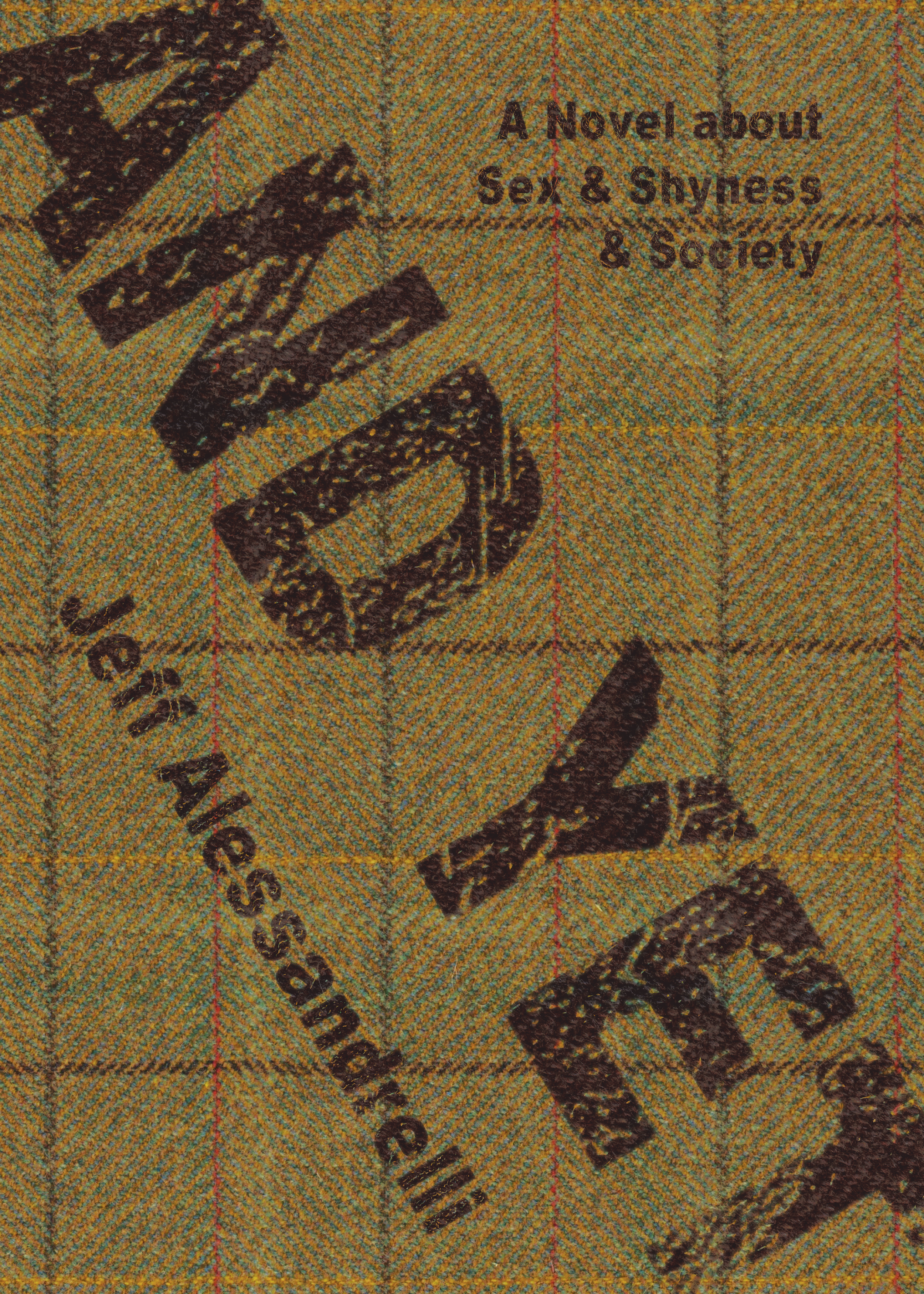 Fiction Review: Ashley Honeysett Reads Jeff Alessandrelli’s Novel about Sex & Shyness & Society And Yet