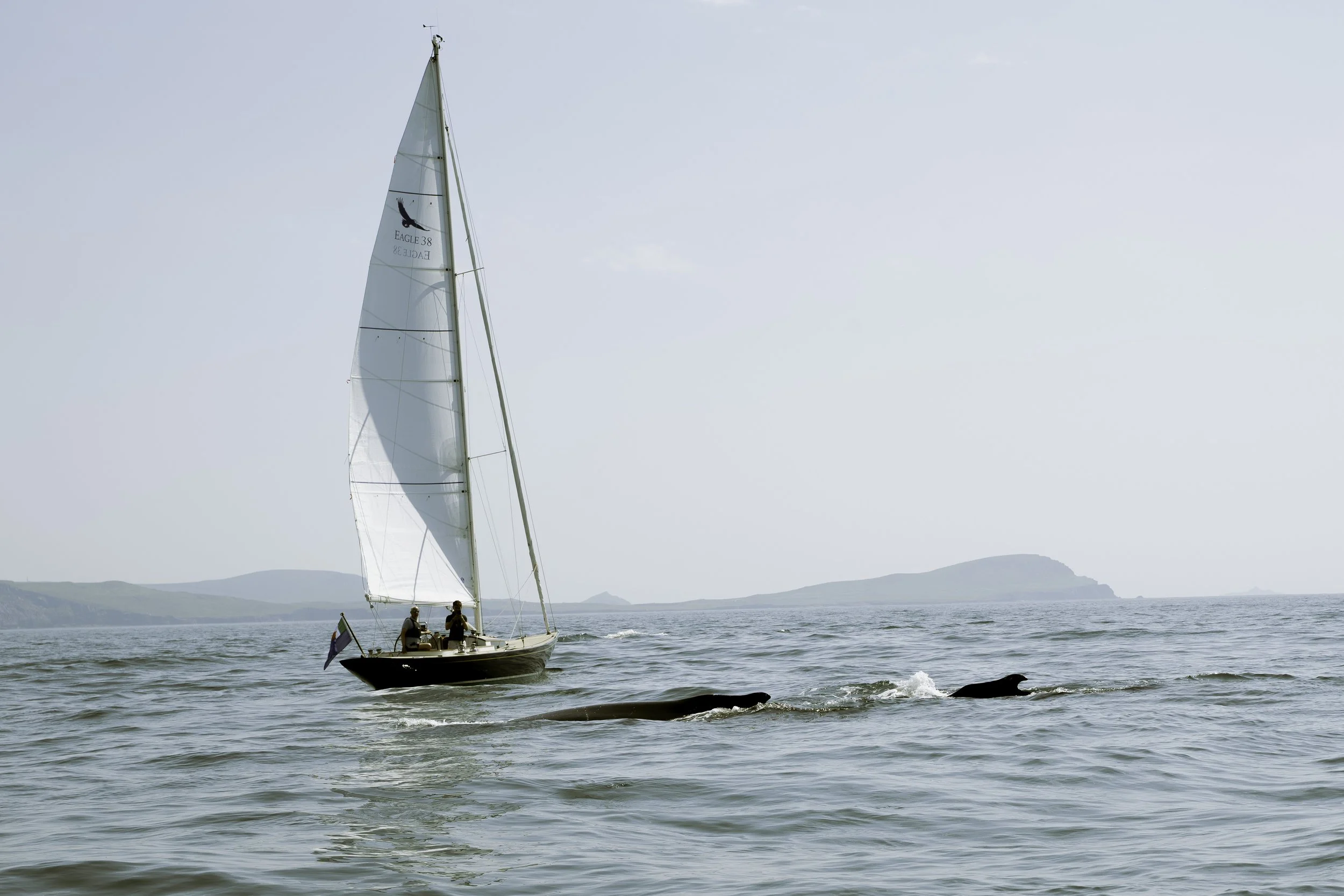 Irish Coastline - Beatha Studio