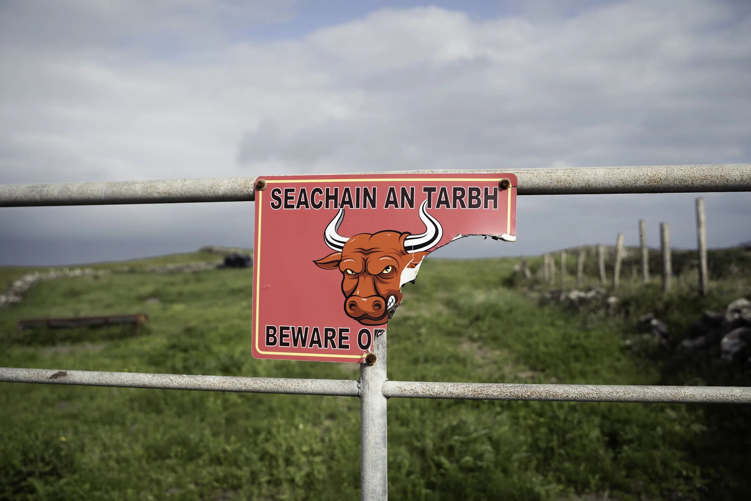 Irish Coastline - Beatha Studio