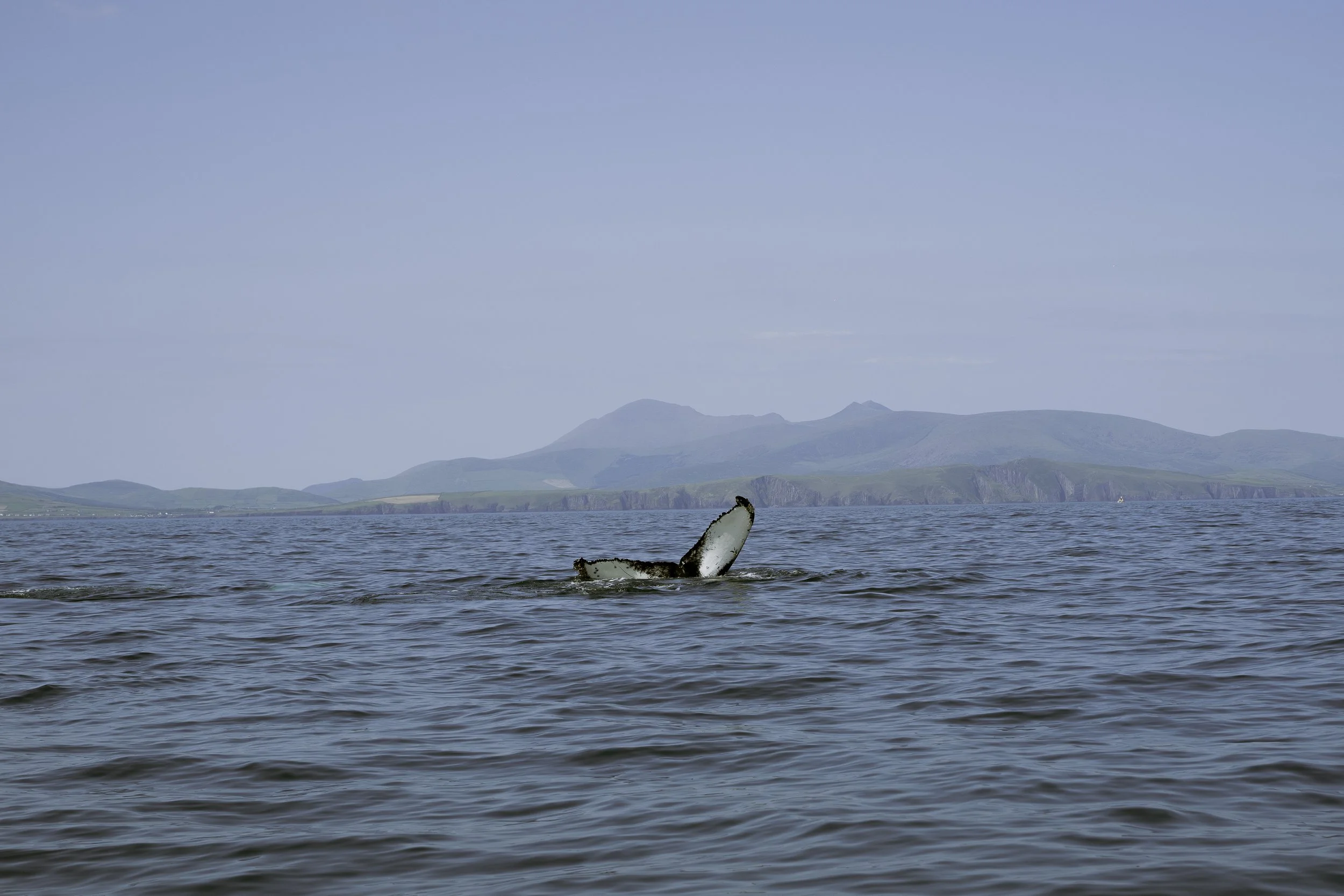 Irish Coastline - Beatha Studio