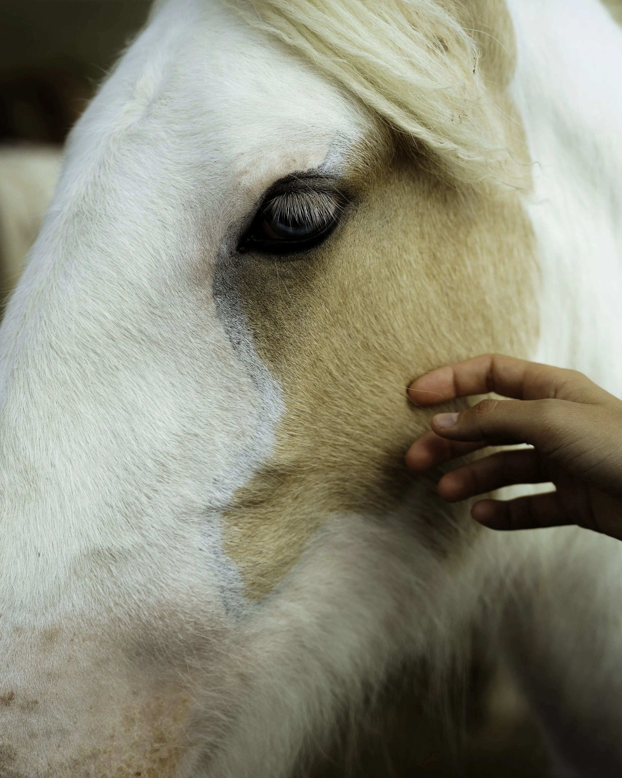 Irish Coastline - Beatha Studio