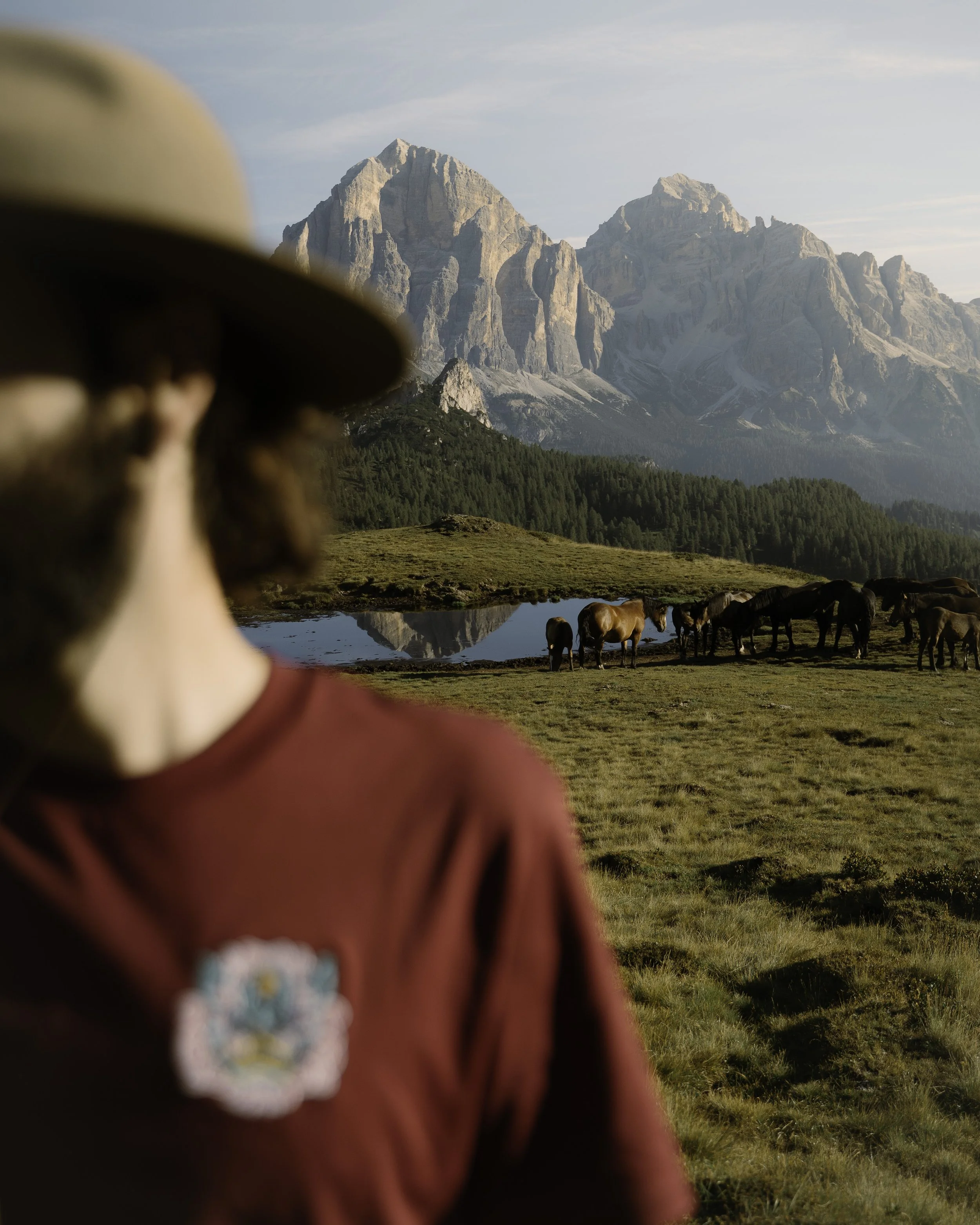 Komeroshi - Beatha Studio