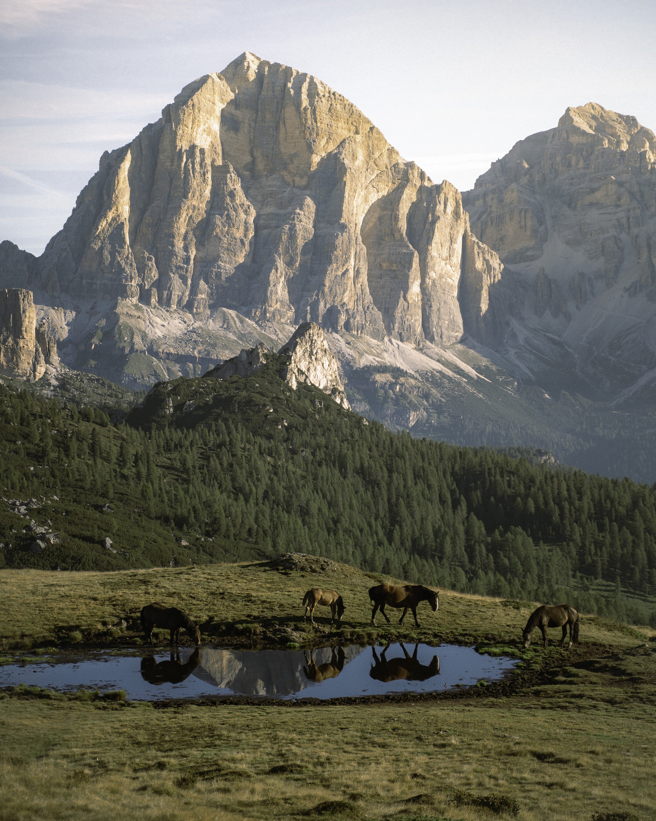 Komeroshi - Beatha Studio