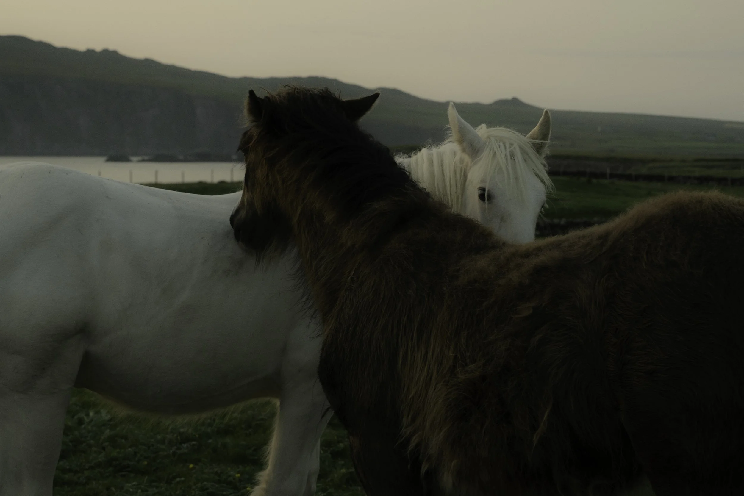 Irish Coastline - Beatha Studio