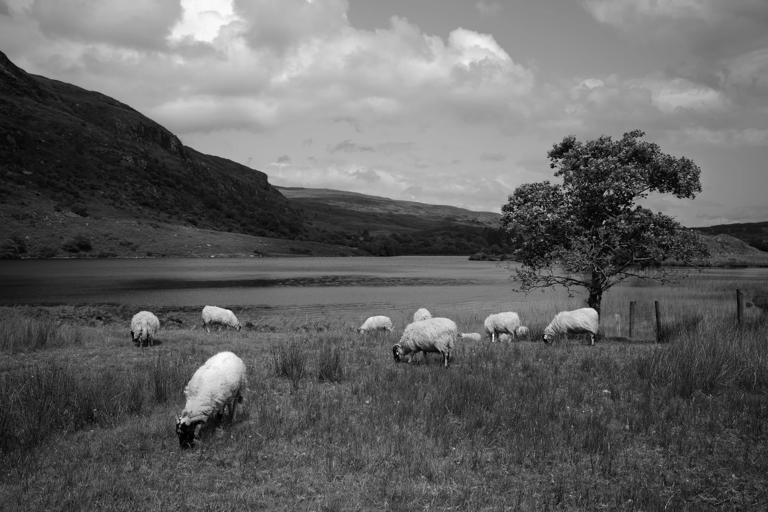 Irish Coastline - Beatha Studio