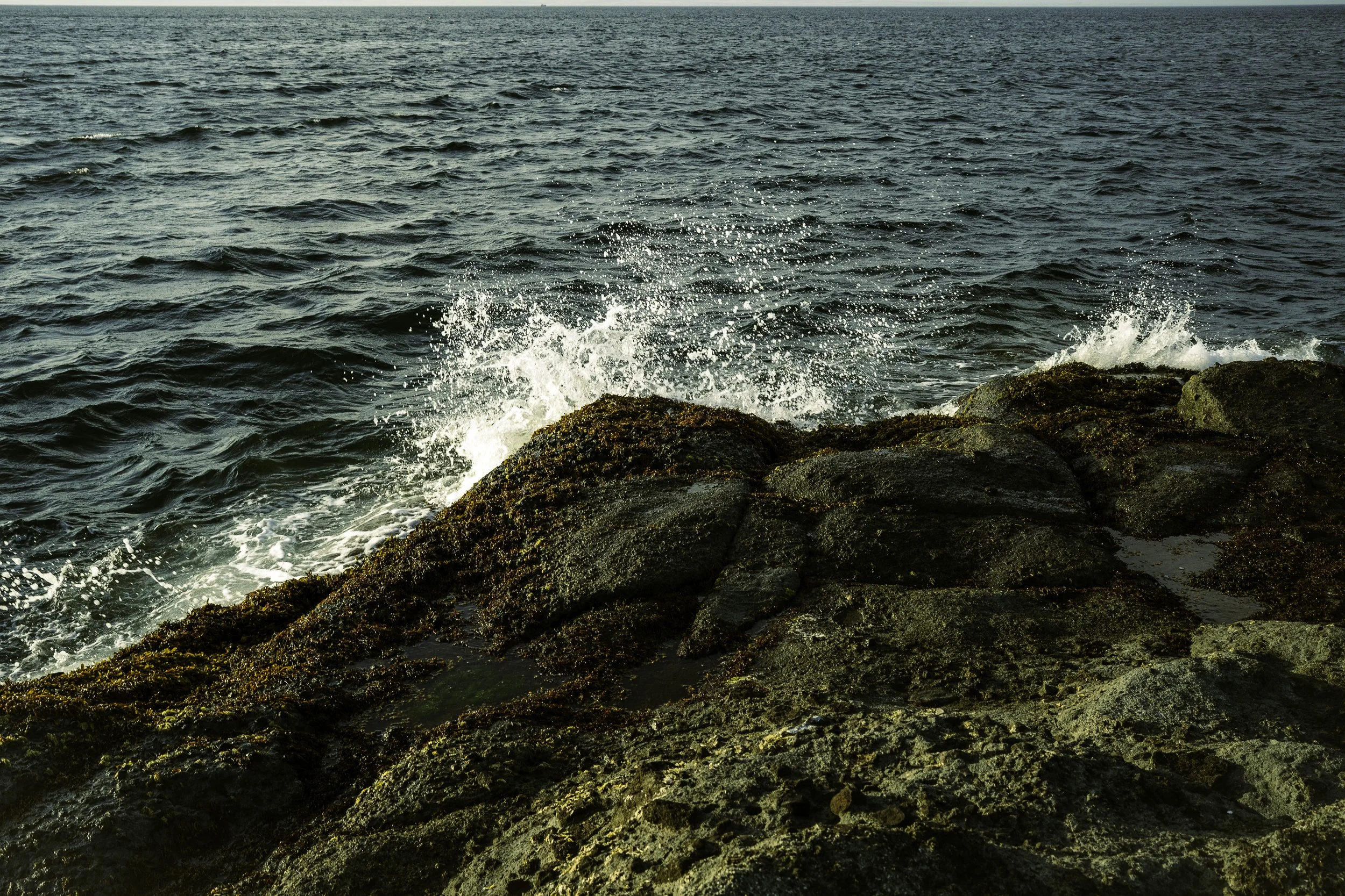 James - Beatha Studio