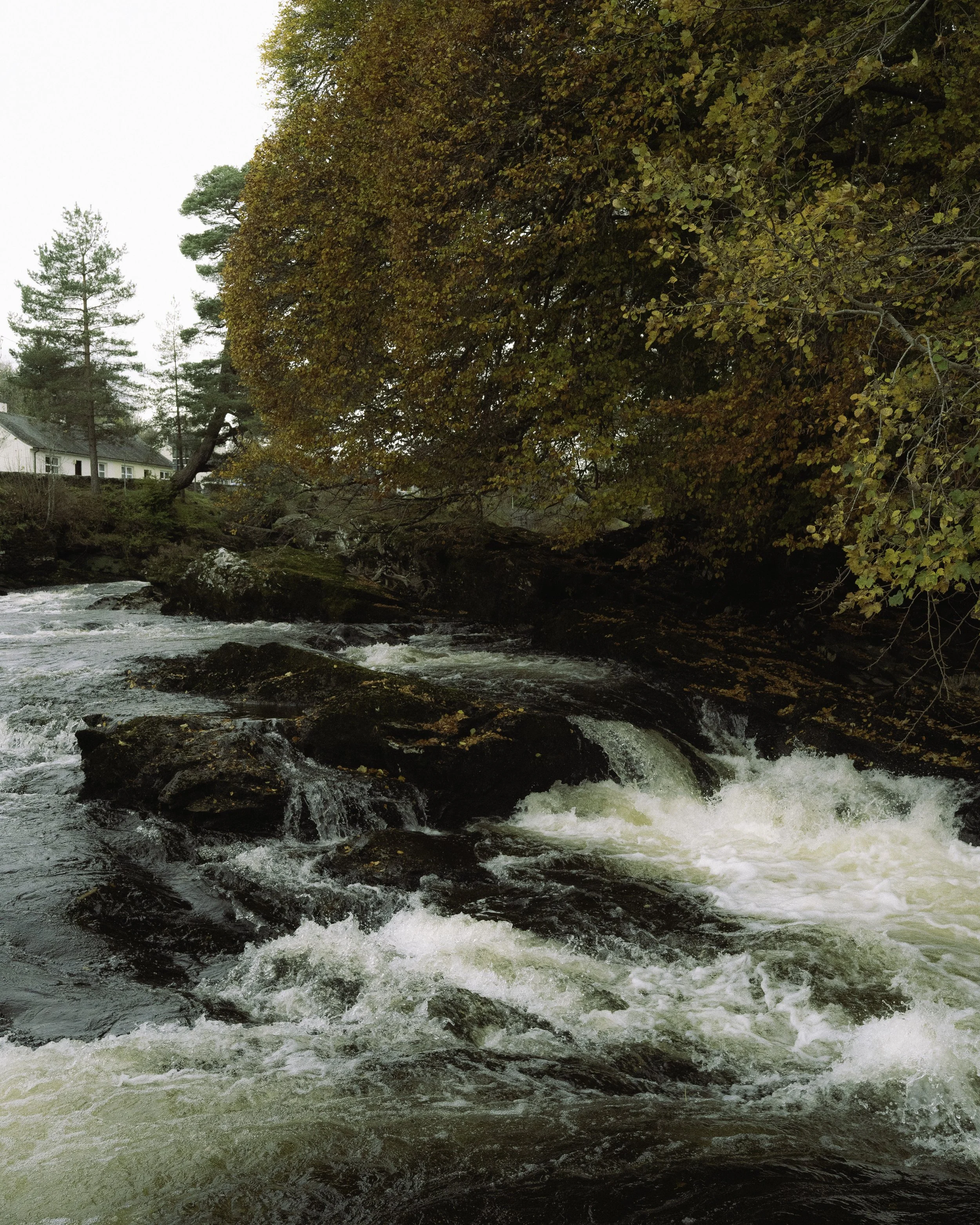 Scottish Highlands - Beatha Studio