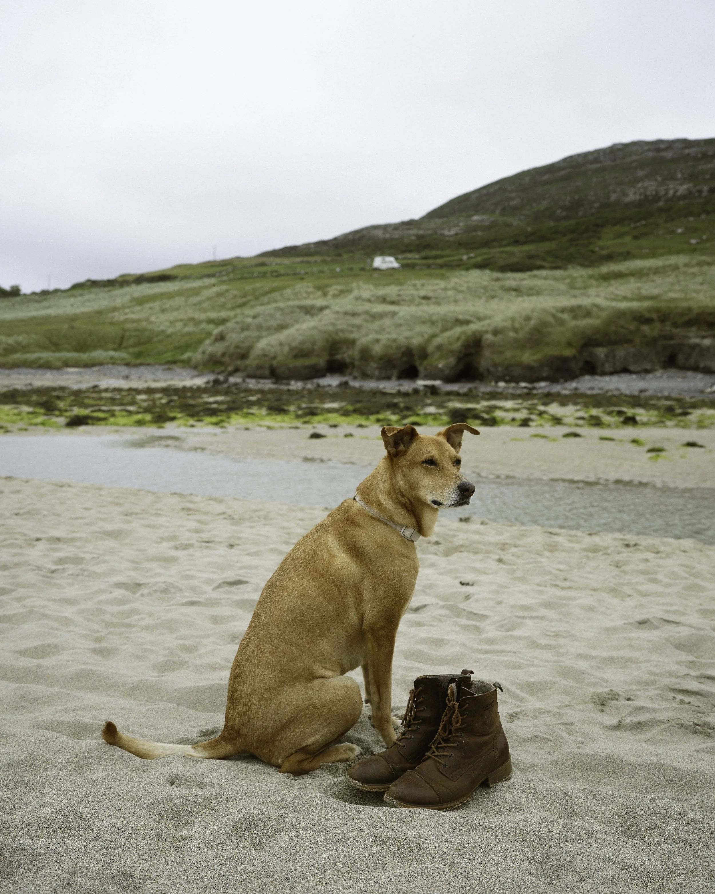 Irish Coastline - Beatha Studio
