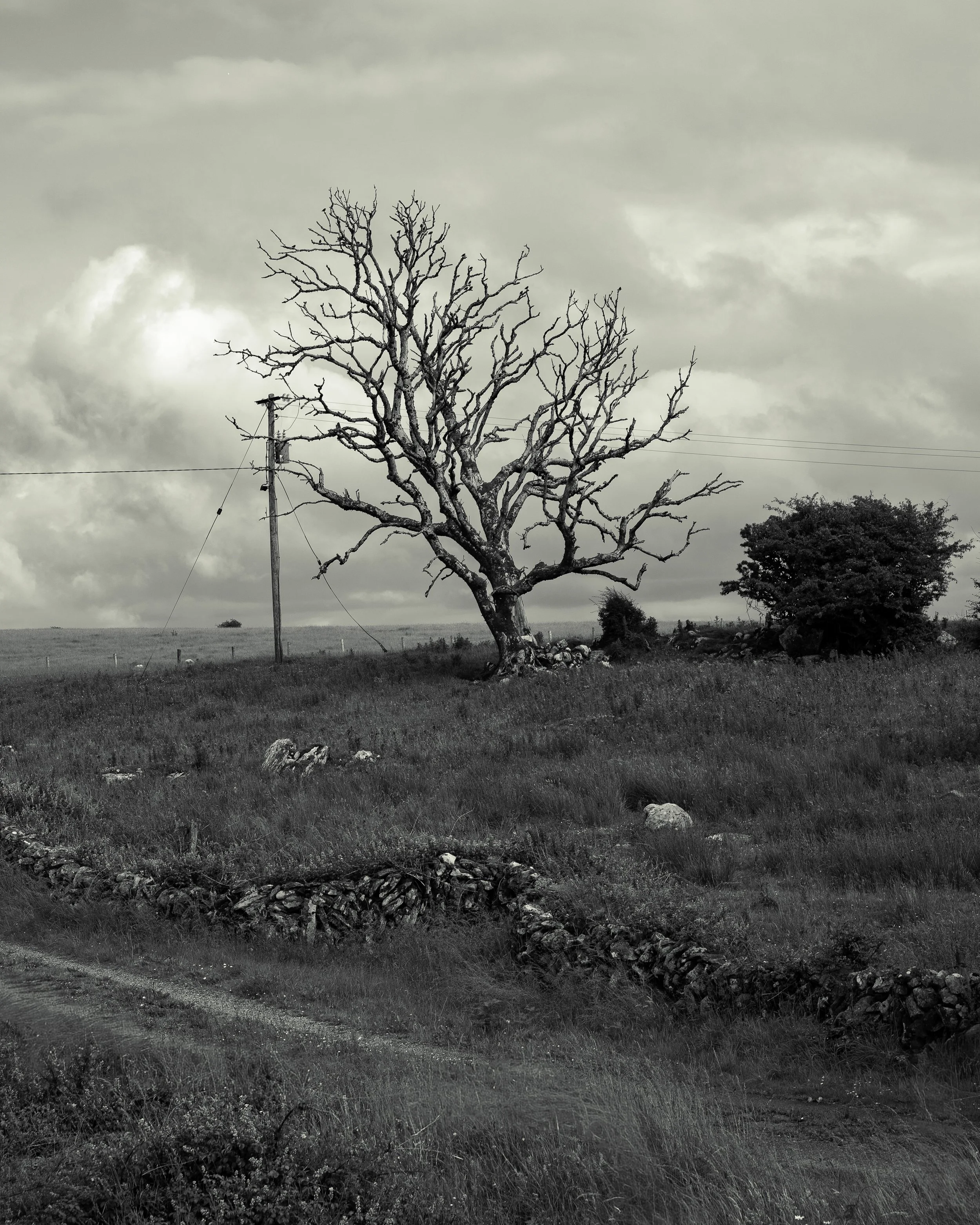 Irish Coastline - Beatha Studio