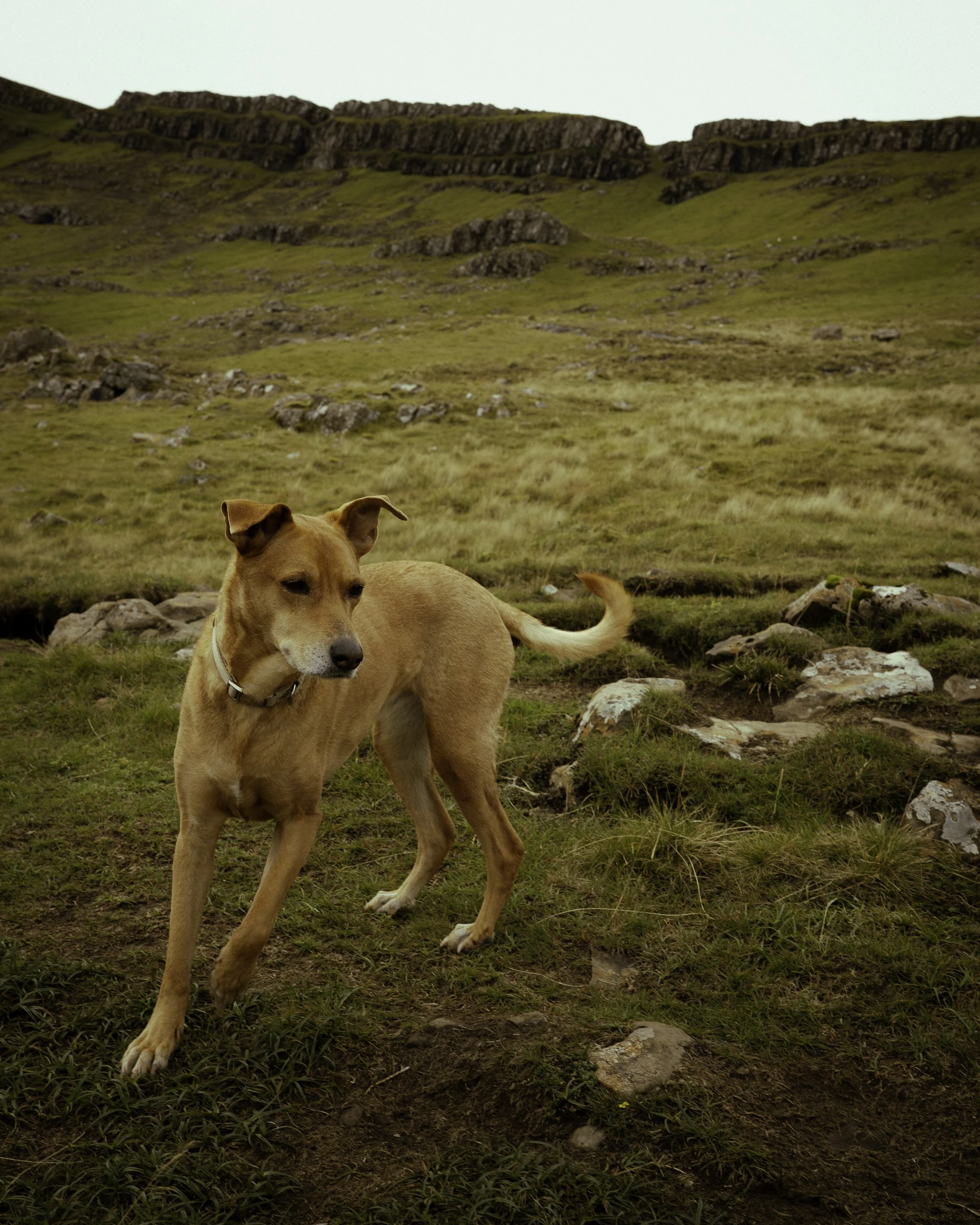 Scottish Highlands - Beatha Studio
