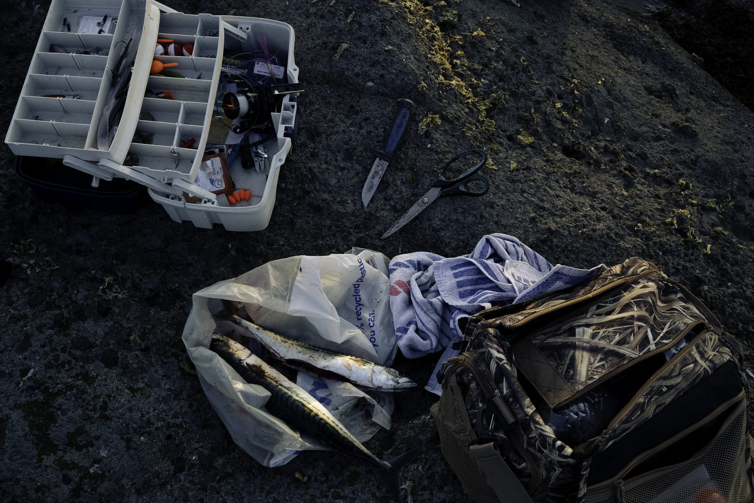 James - Beatha Studio