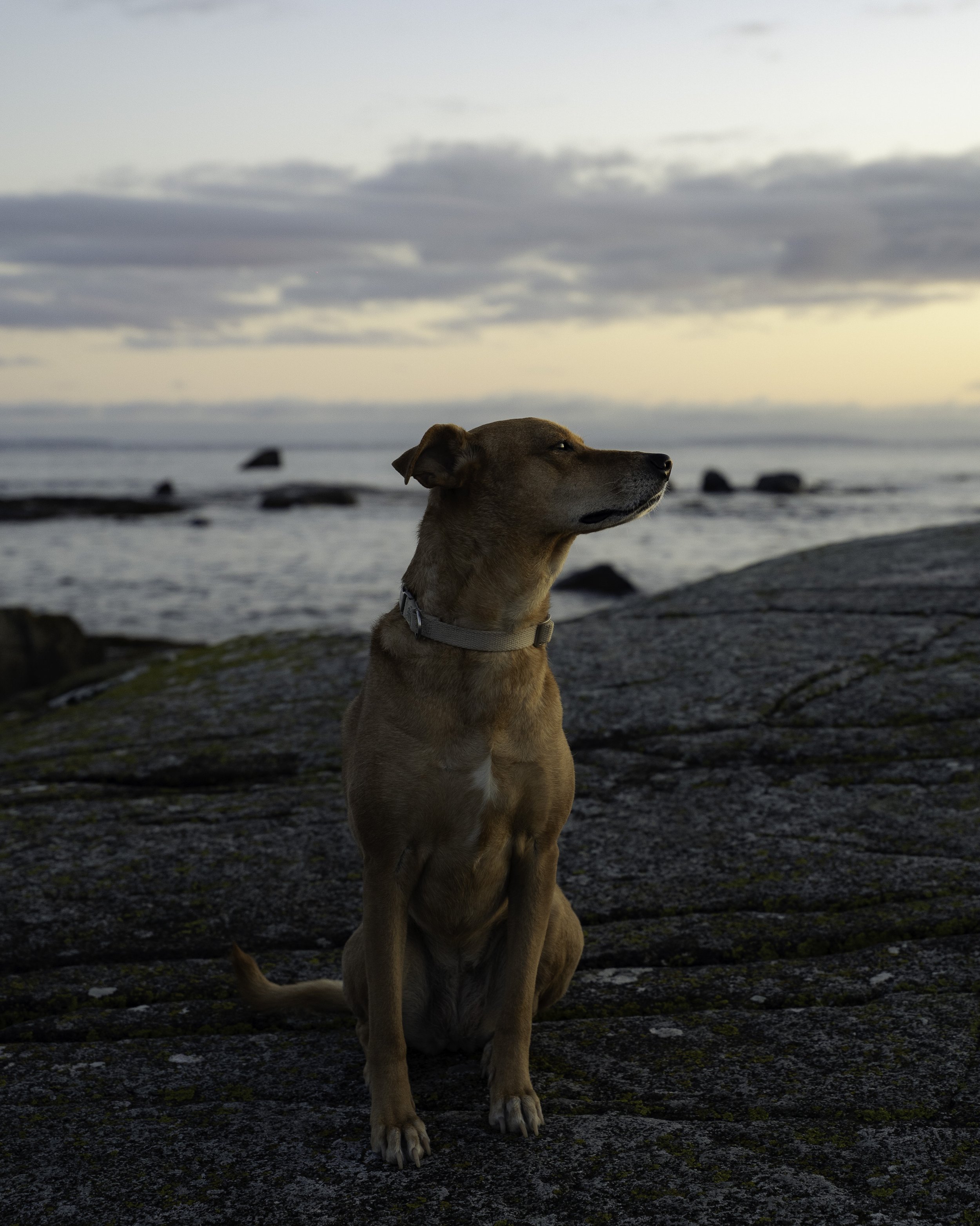 Irish Coastline - Beatha Studio