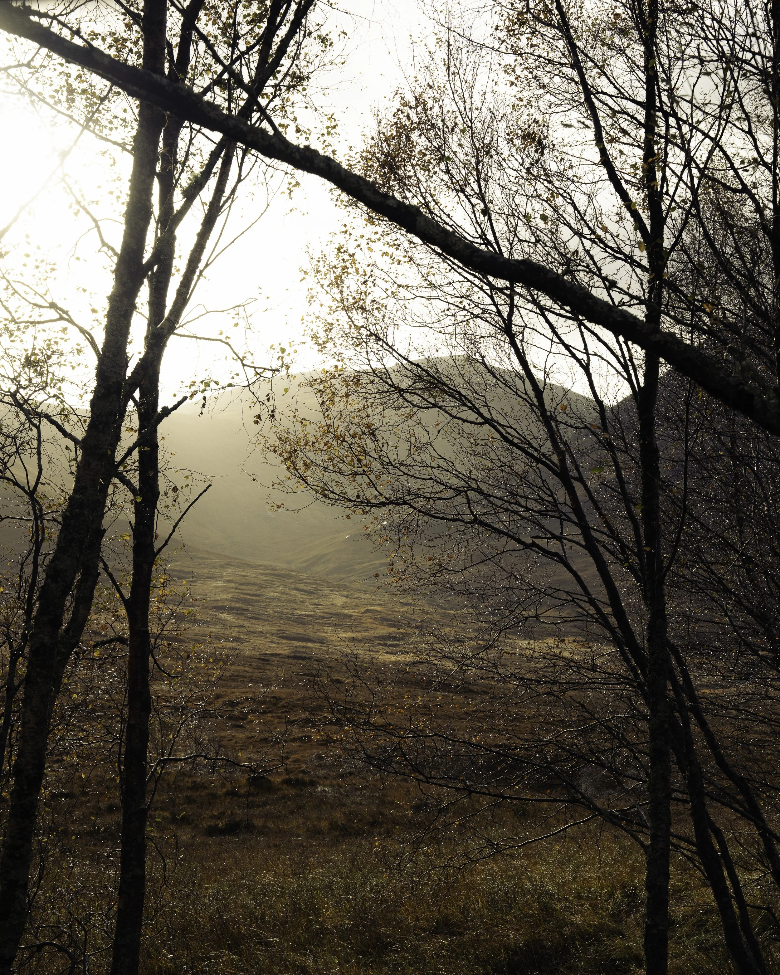 Scottish Highlands - Beatha Studio