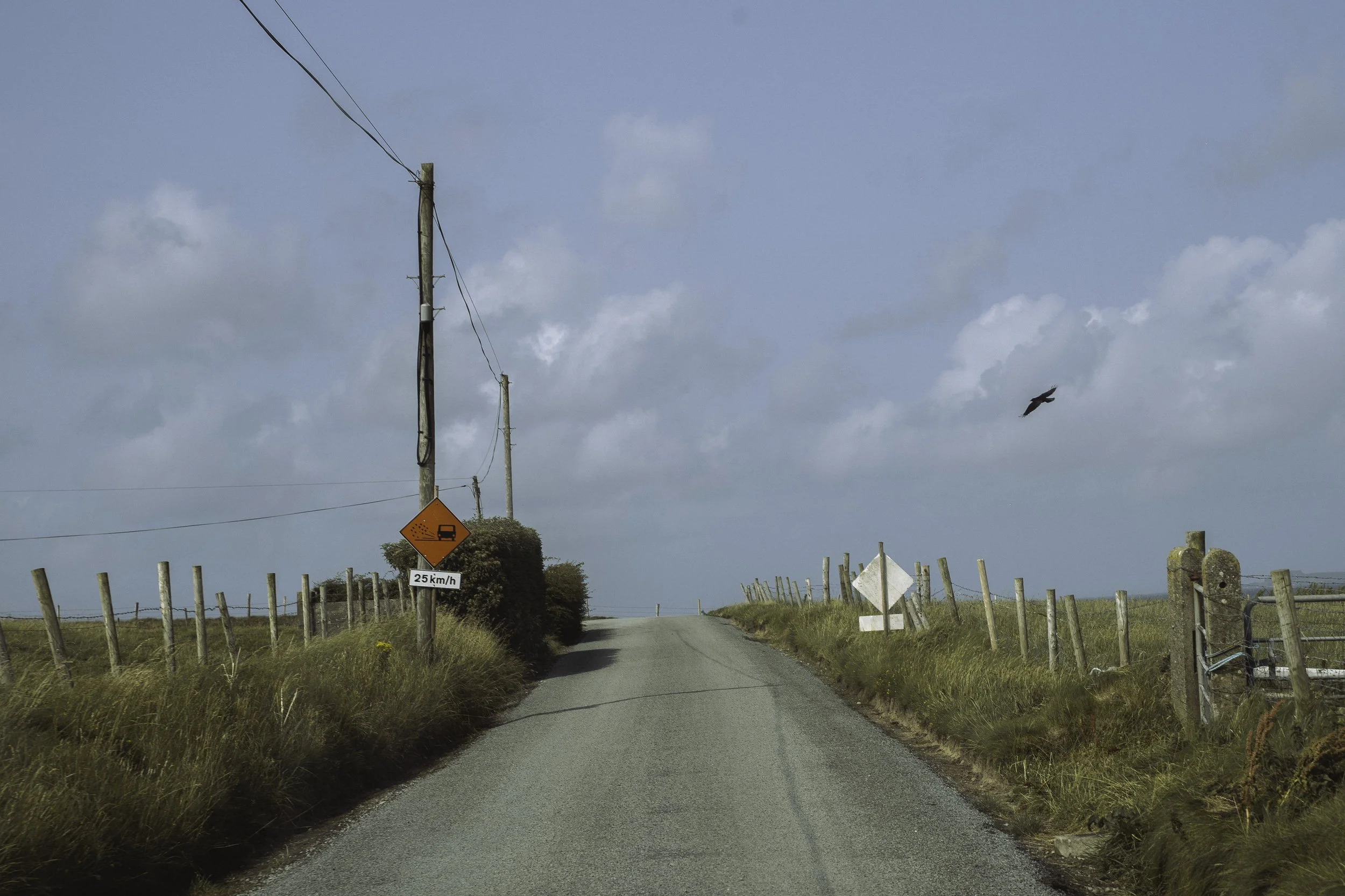 Irish Coastline - Beatha Studio