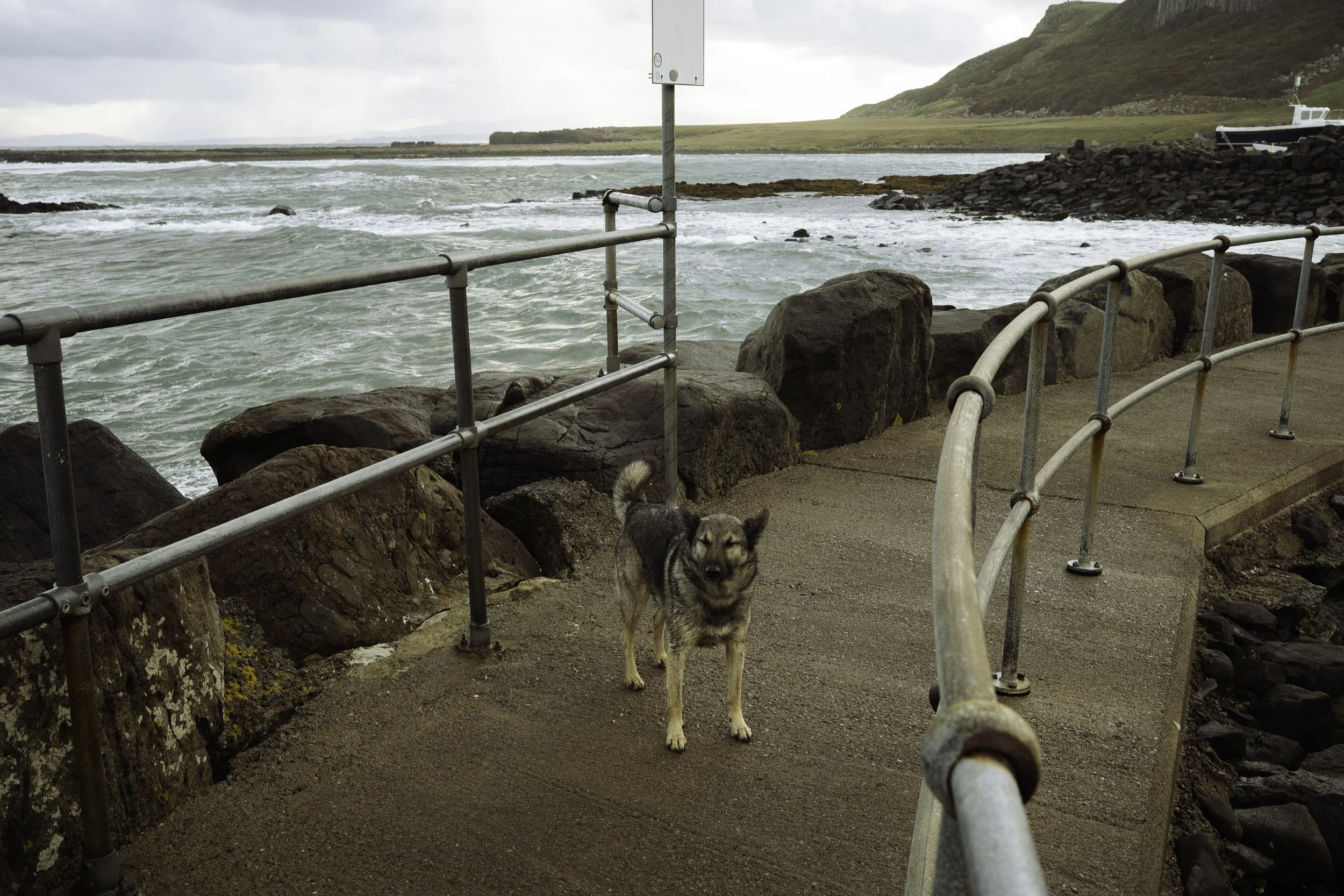 Staffin Sea Sauna - Beatha Studio