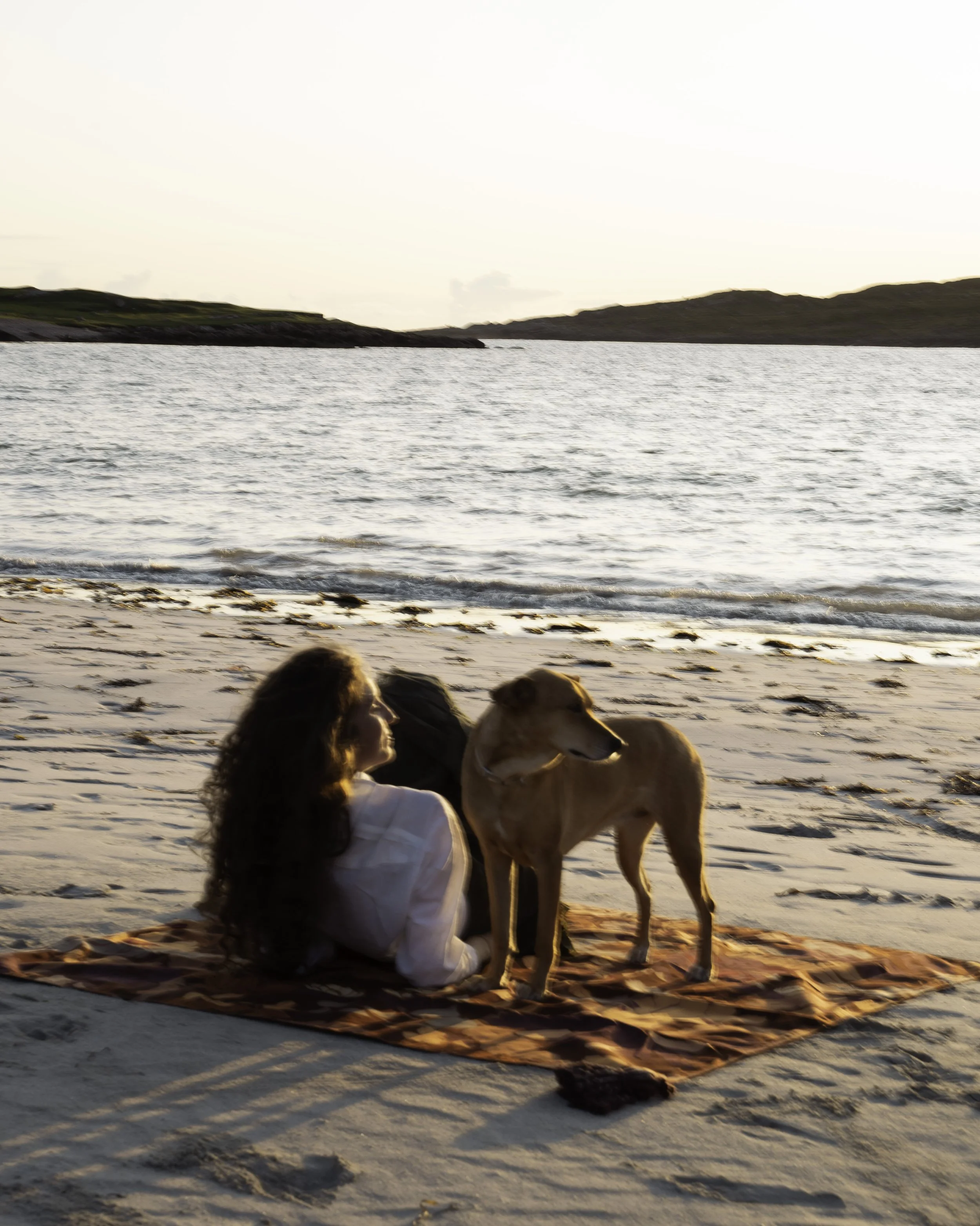 Wandering Folk - Beatha Studio