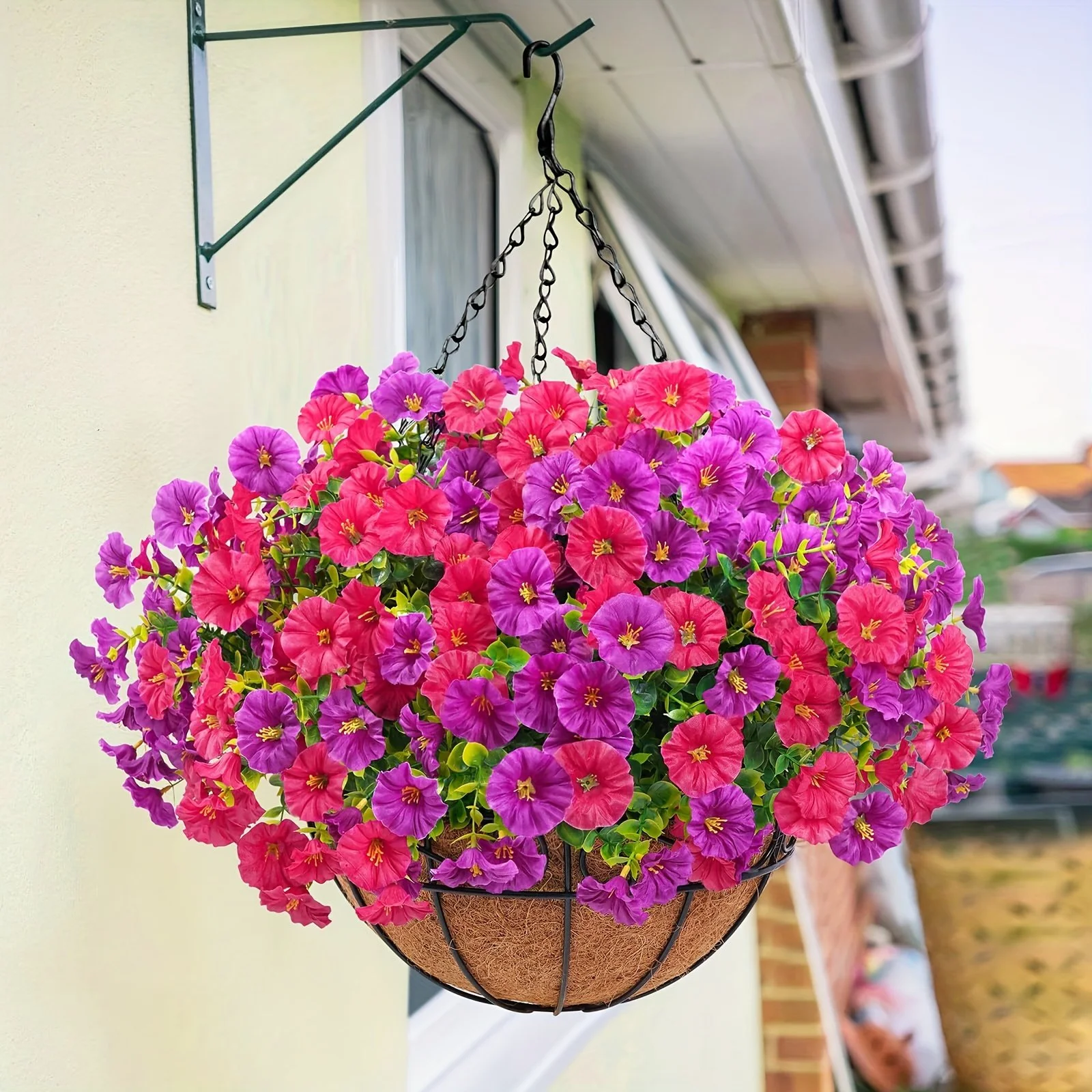 Annual Plants / Flowers Sale