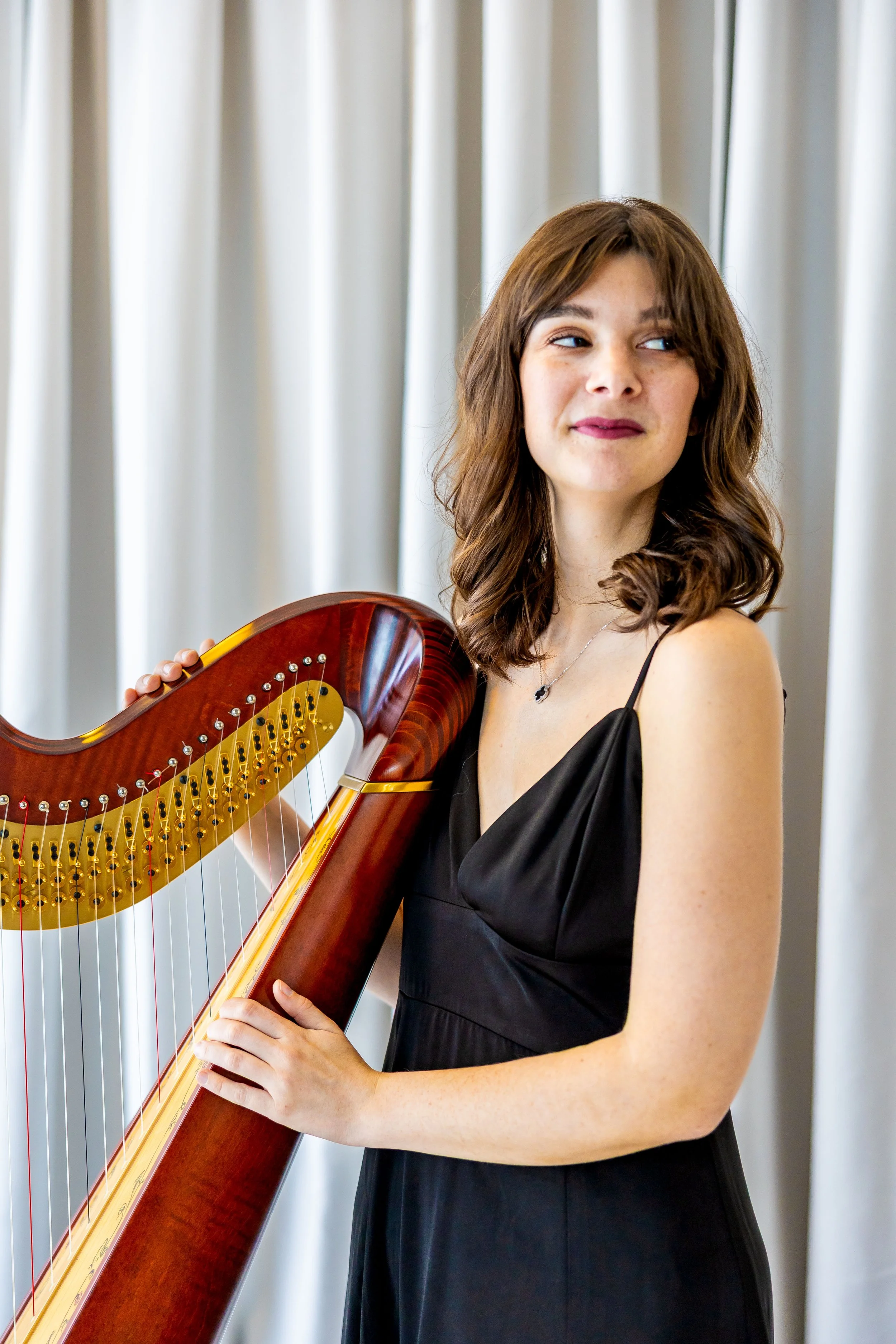 Duo31HarpistExport-11.jpg