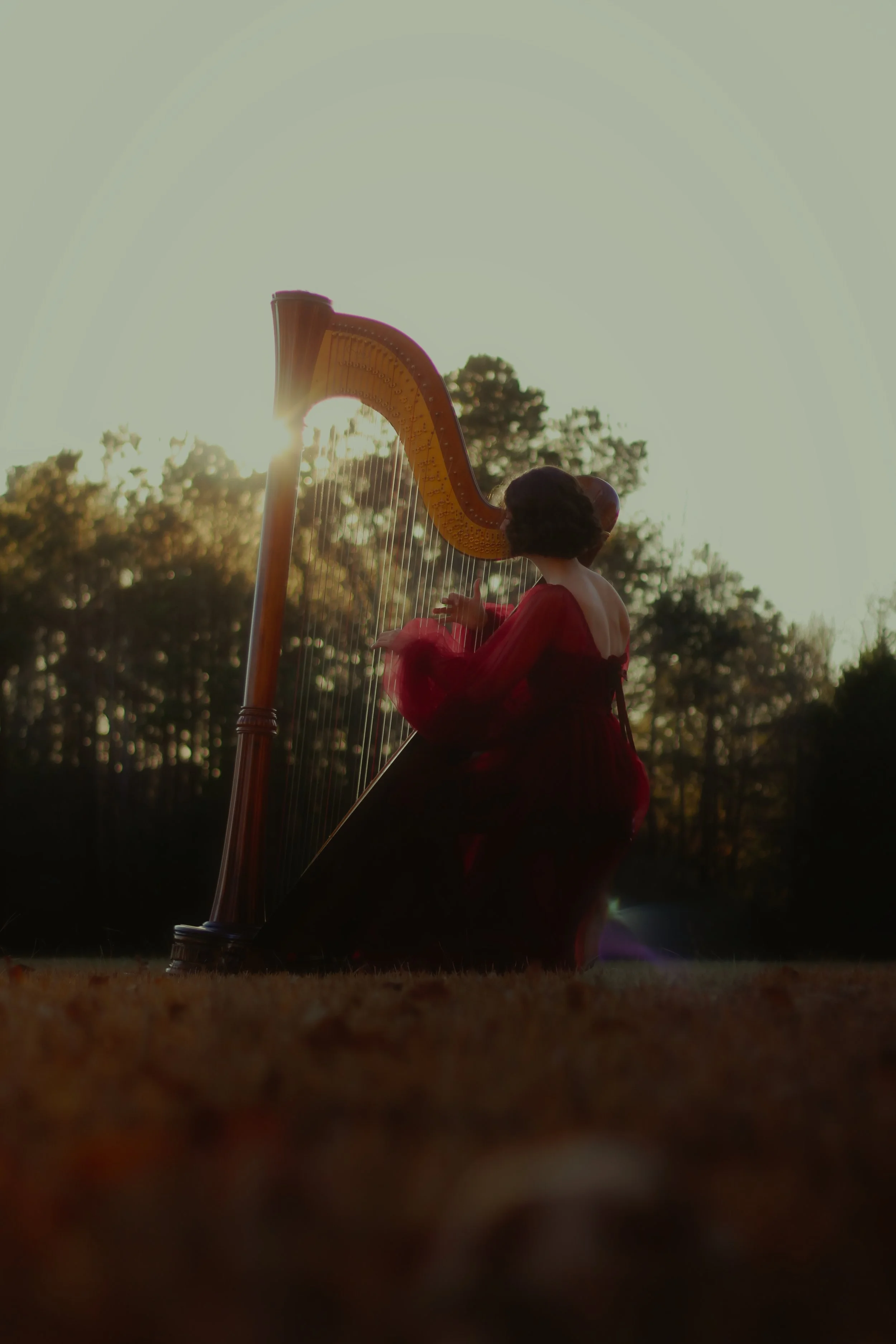 Soph Harp Pics 22.jpg