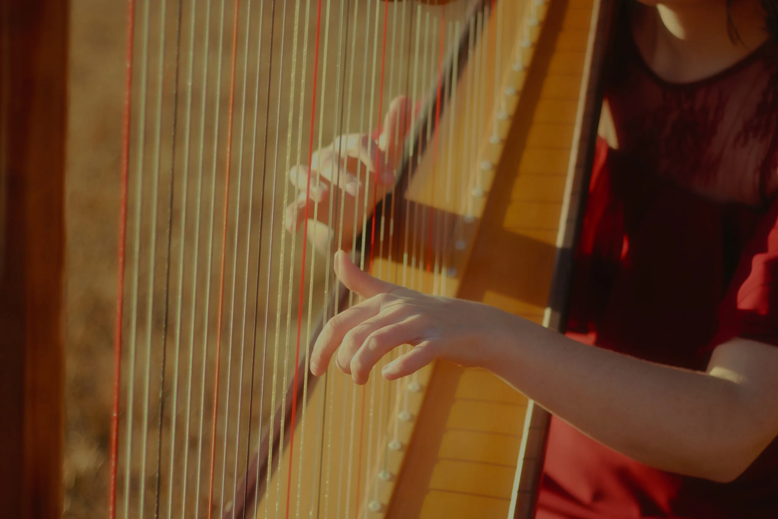 Soph Harp Pics 113.jpg