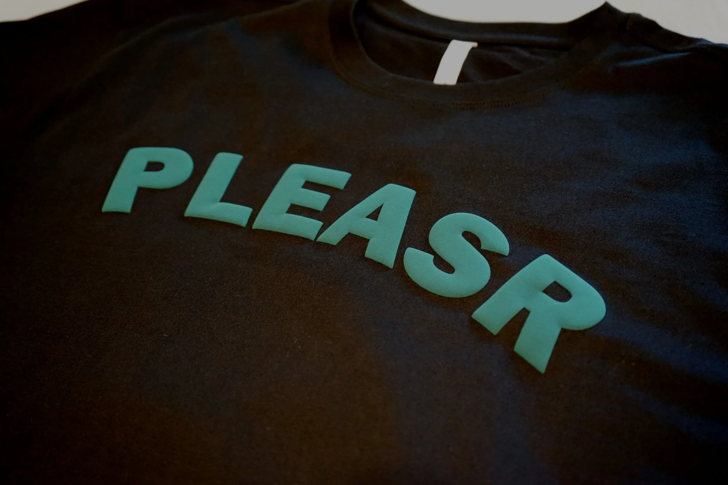 PLEASR
