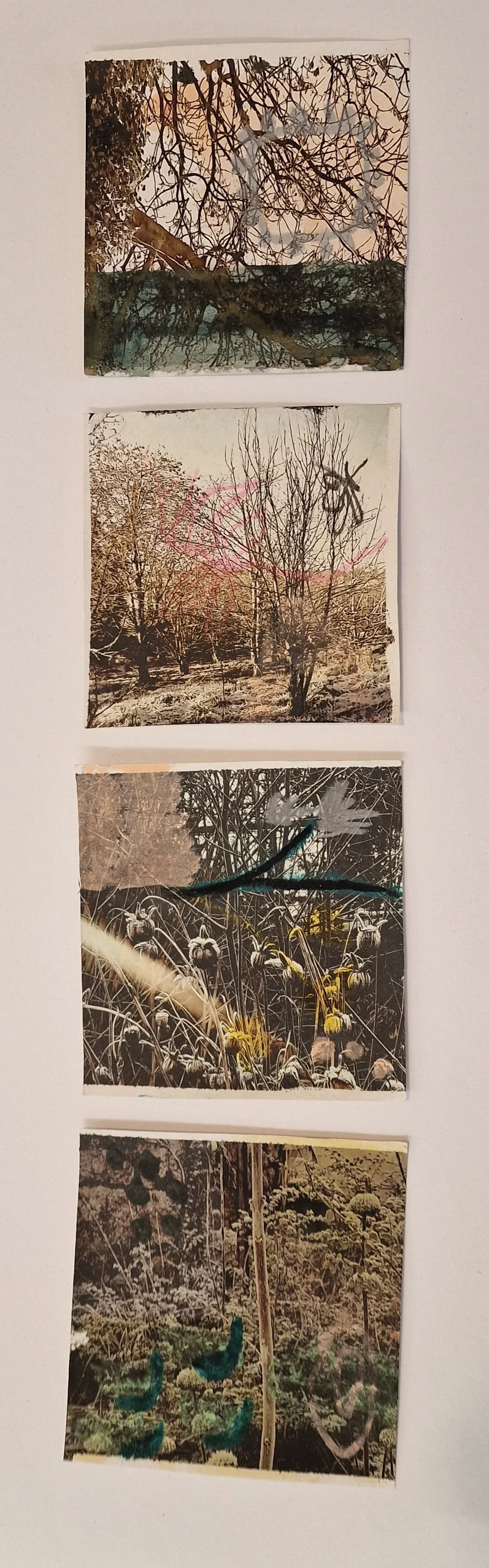 Memory Study 
Mixed Media on paper 