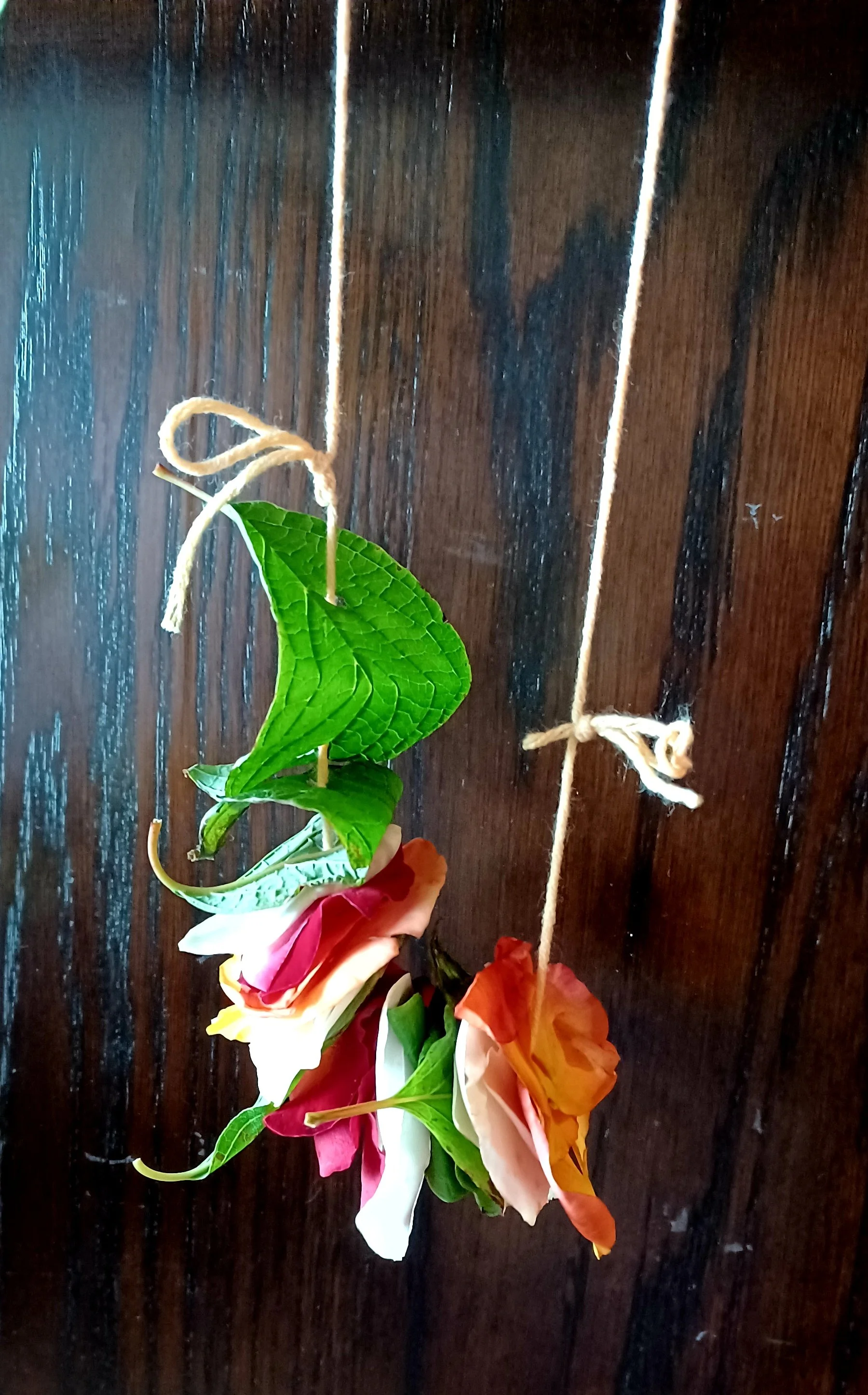 20220628_115524.jpg