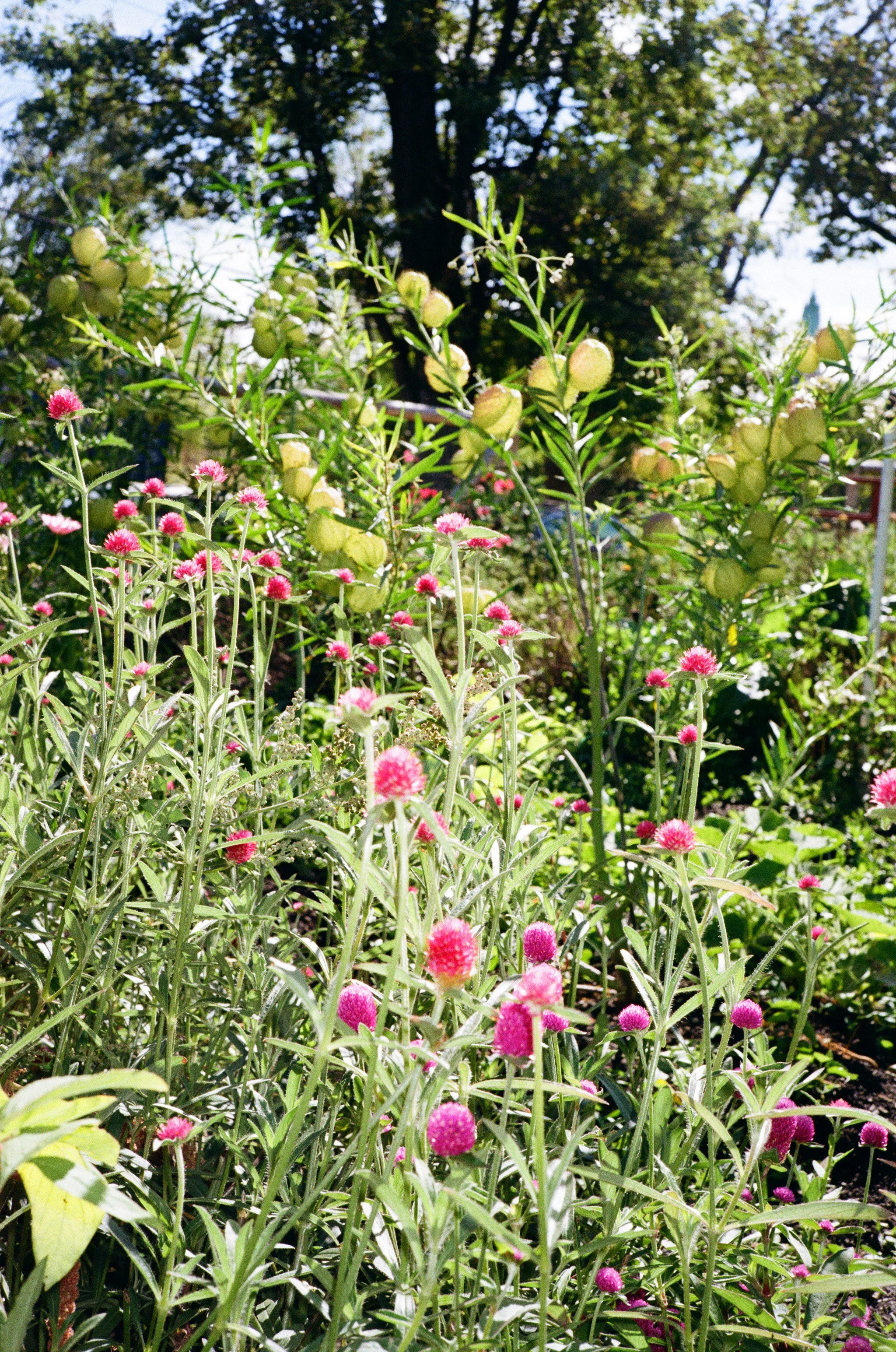 MOP-OCT25-11 copy.jpg